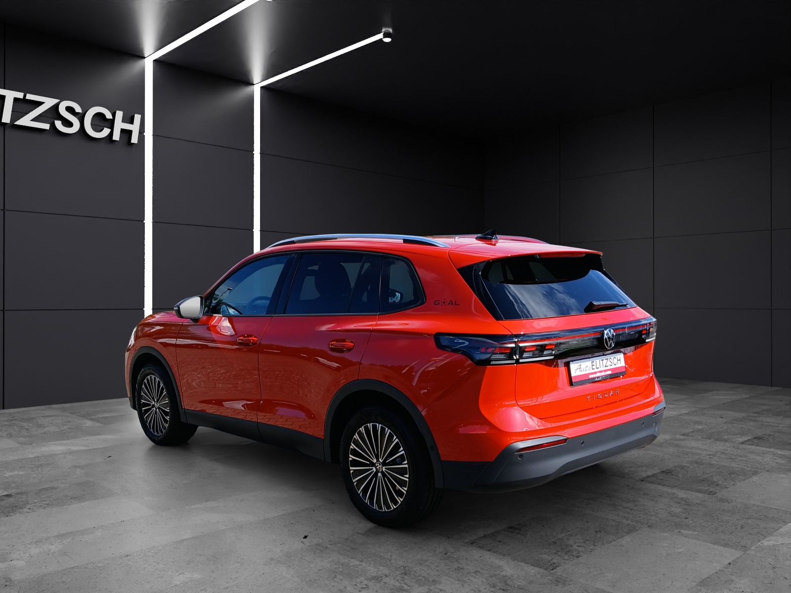 Fahrzeugabbildung Volkswagen Tiguan TDI Goal DSG Matrix AHK Navi AID ACC RFK SH 18