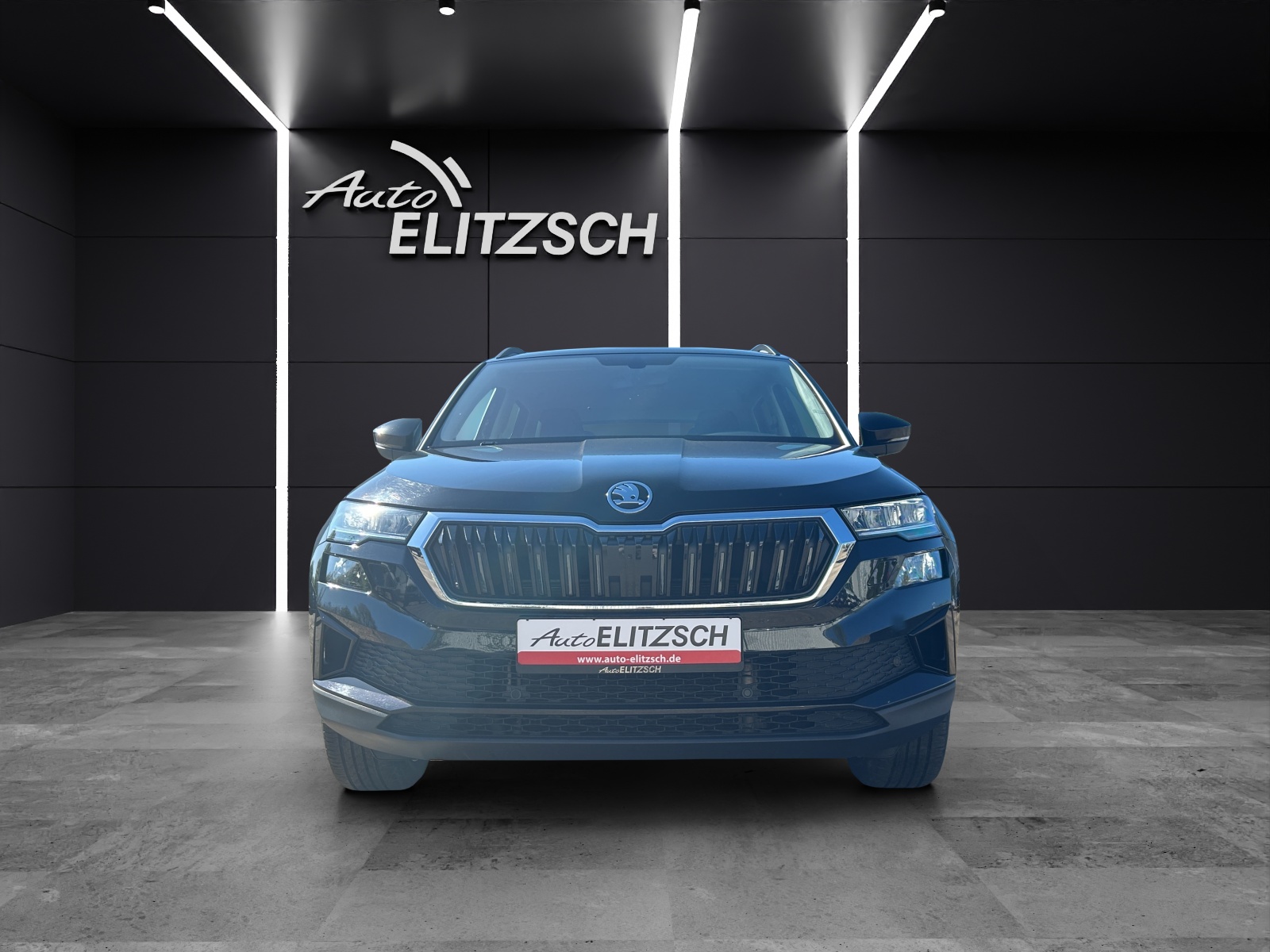 Fahrzeugabbildung SKODA Karoq TSI Tour LED Navi AIC GRA RFK SH