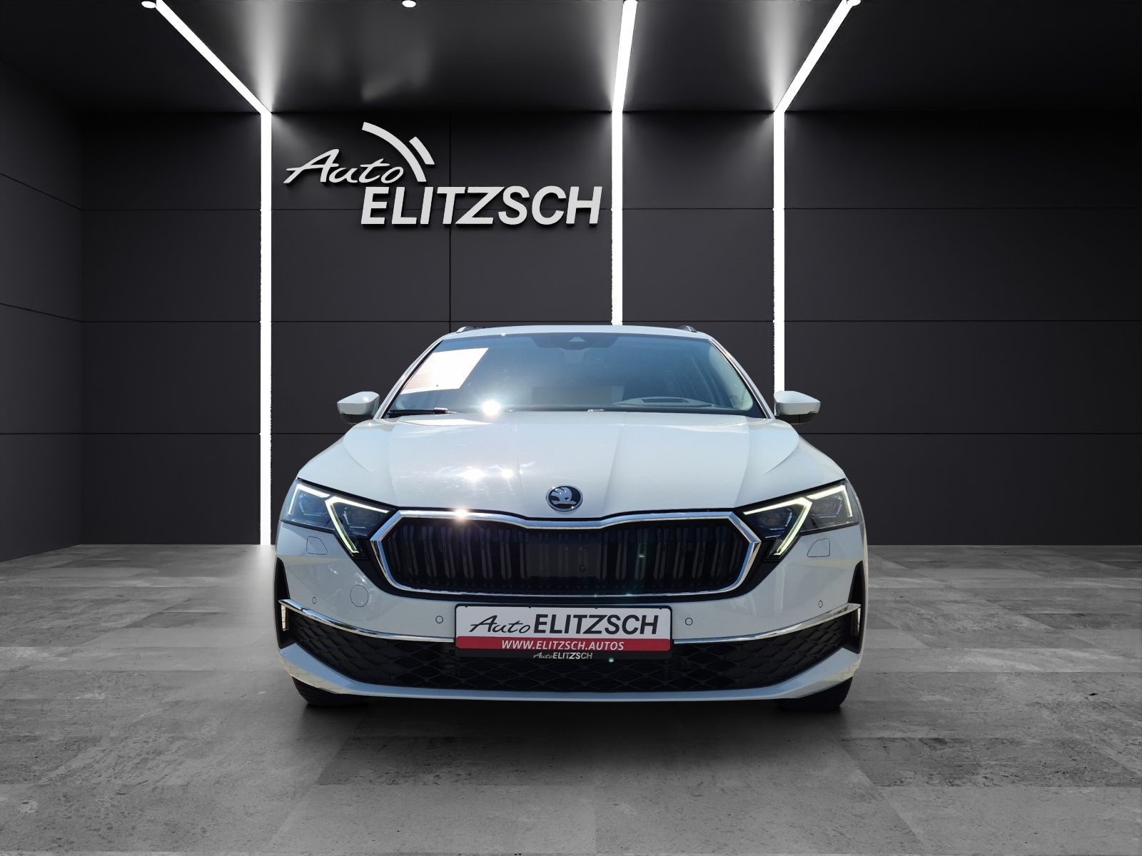 Fahrzeugabbildung SKODA Octavia Combi TDI Selection DSG Matrix Navi ACC 360° HUD SH
