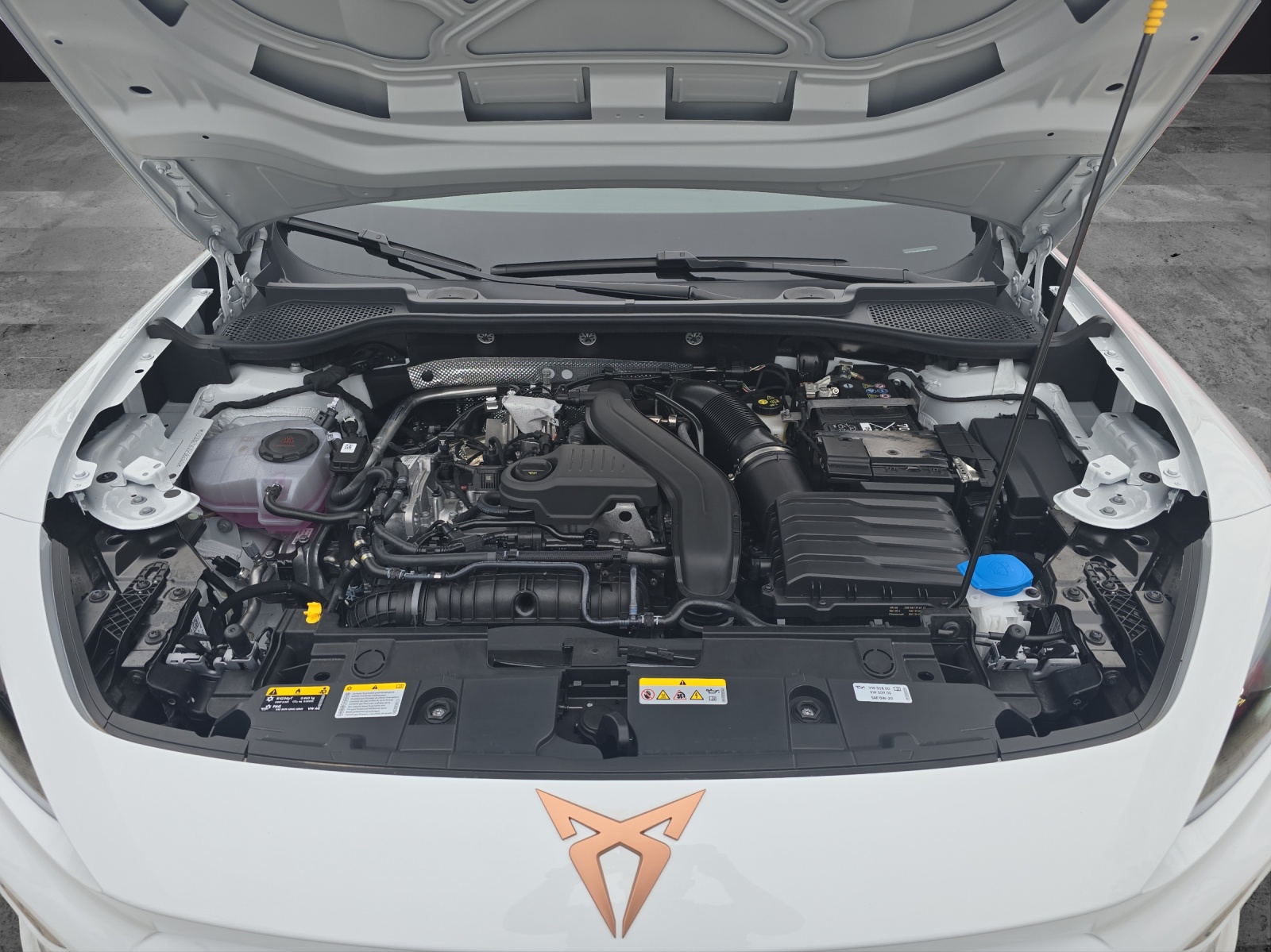 Fahrzeugabbildung CUPRA Formentor 1.5 eTSI DSG AHK