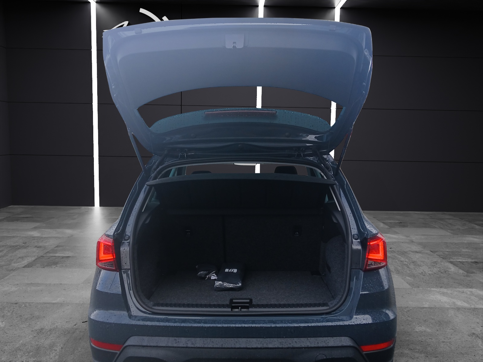 Fahrzeugabbildung SEAT Arona 1.0 TSI Style Edition Kamera