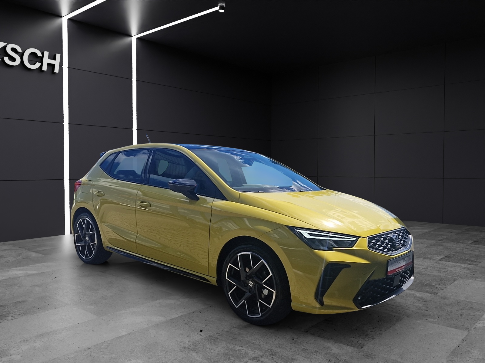 Fahrzeugabbildung SEAT Ibiza FR Black Edition