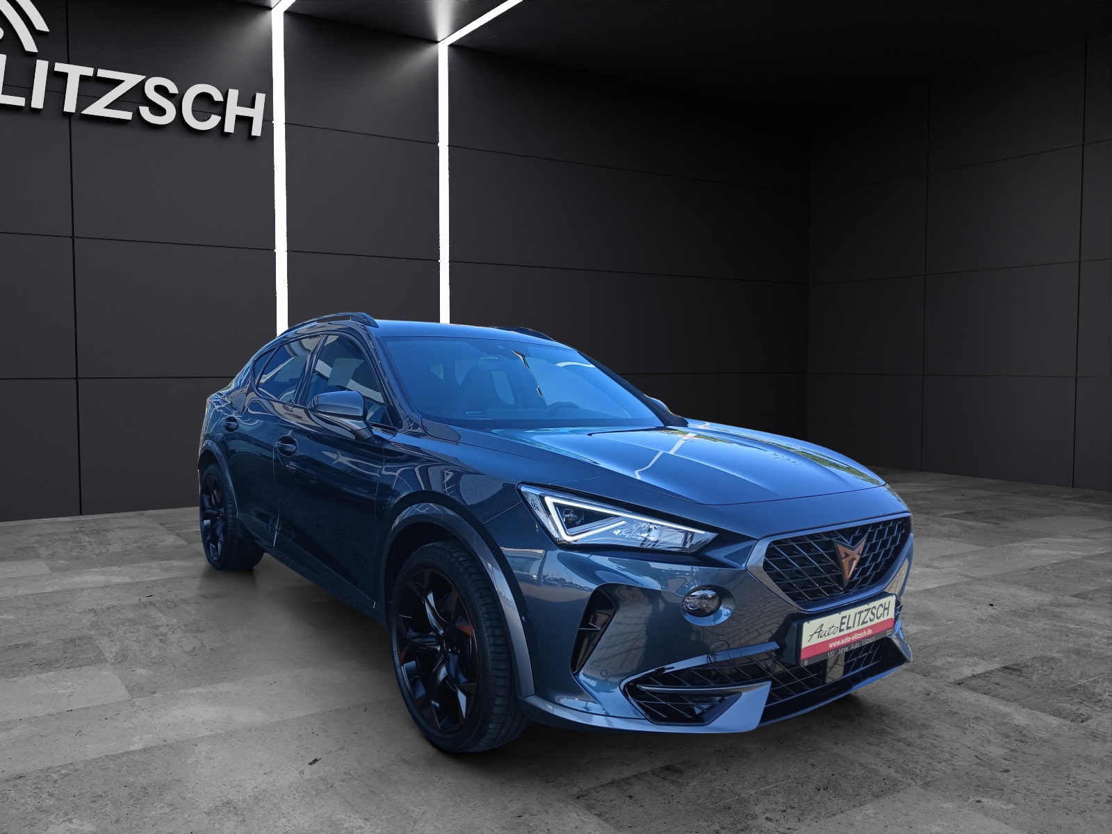 Fahrzeugabbildung CUPRA Formentor VZ DSG 4Drive LED AHK Navi ACC RFK SH 19