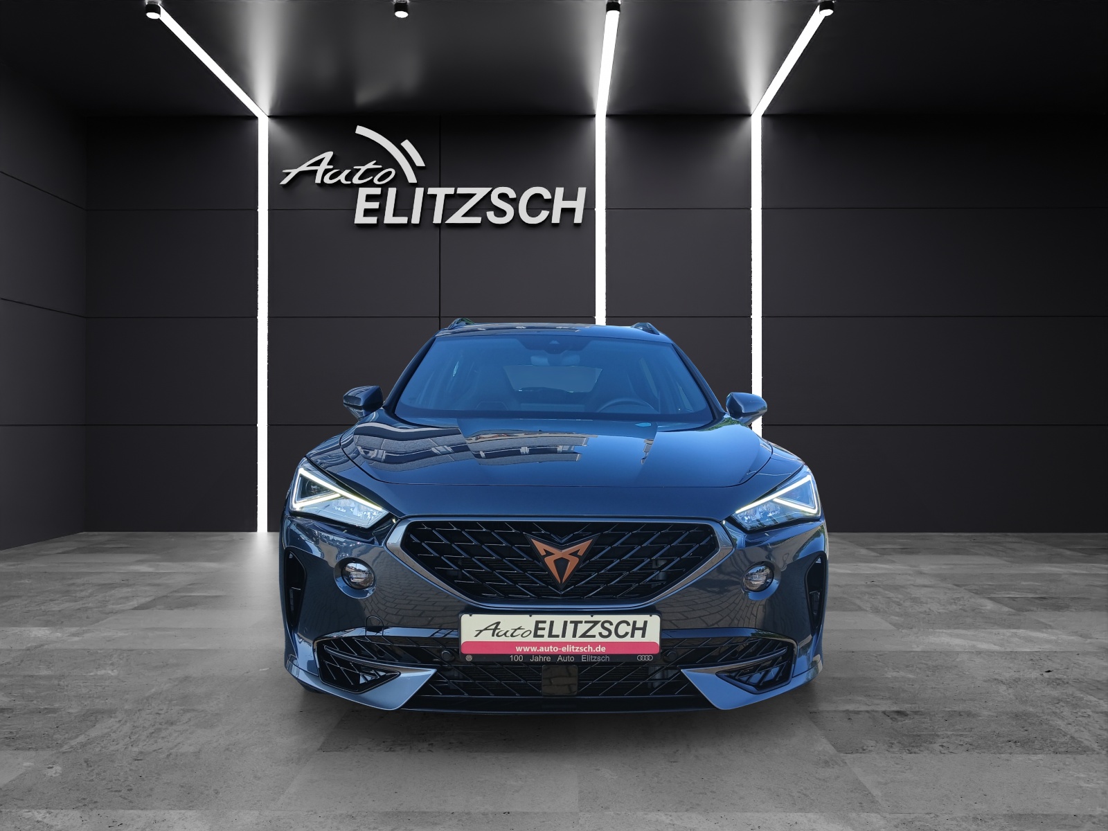 Fahrzeugabbildung CUPRA Formentor VZ DSG 4Drive LED AHK Navi ACC RFK SH 19