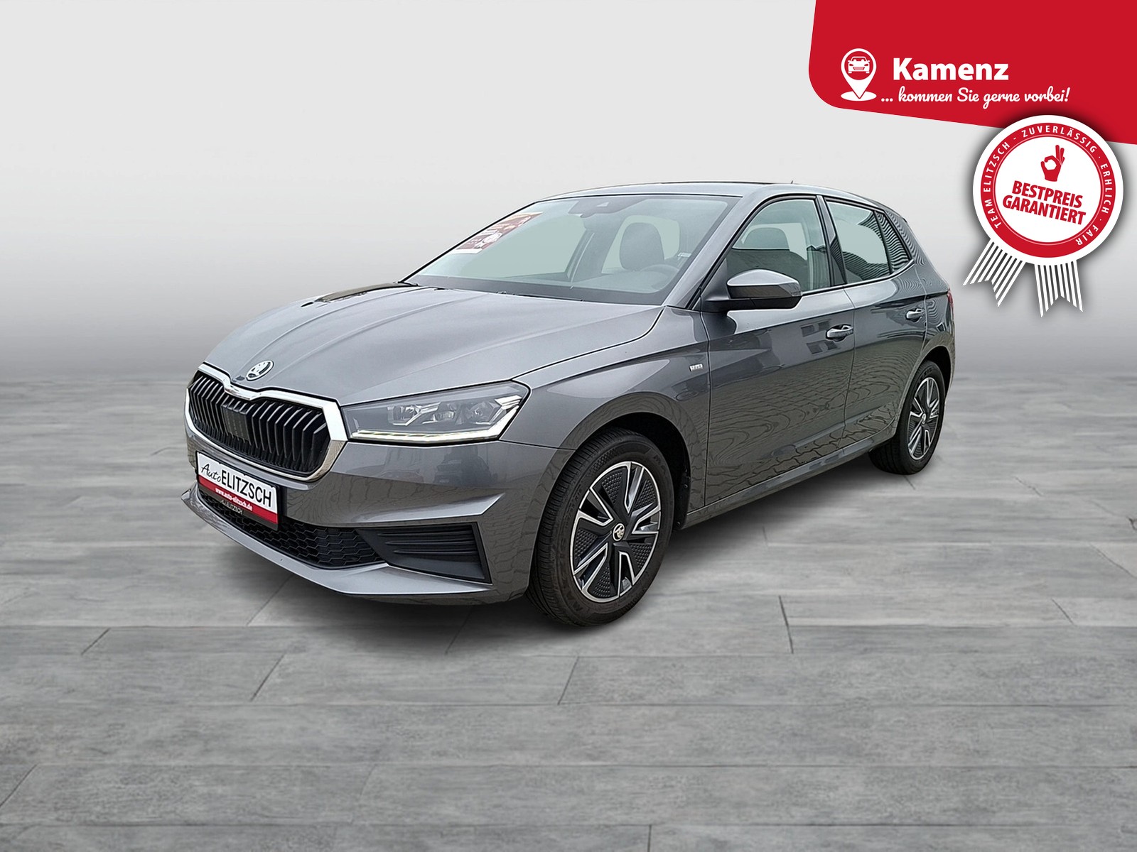 Fahrzeugabbildung SKODA Fabia TSI Tour LED Navi GRA PDC SHZ