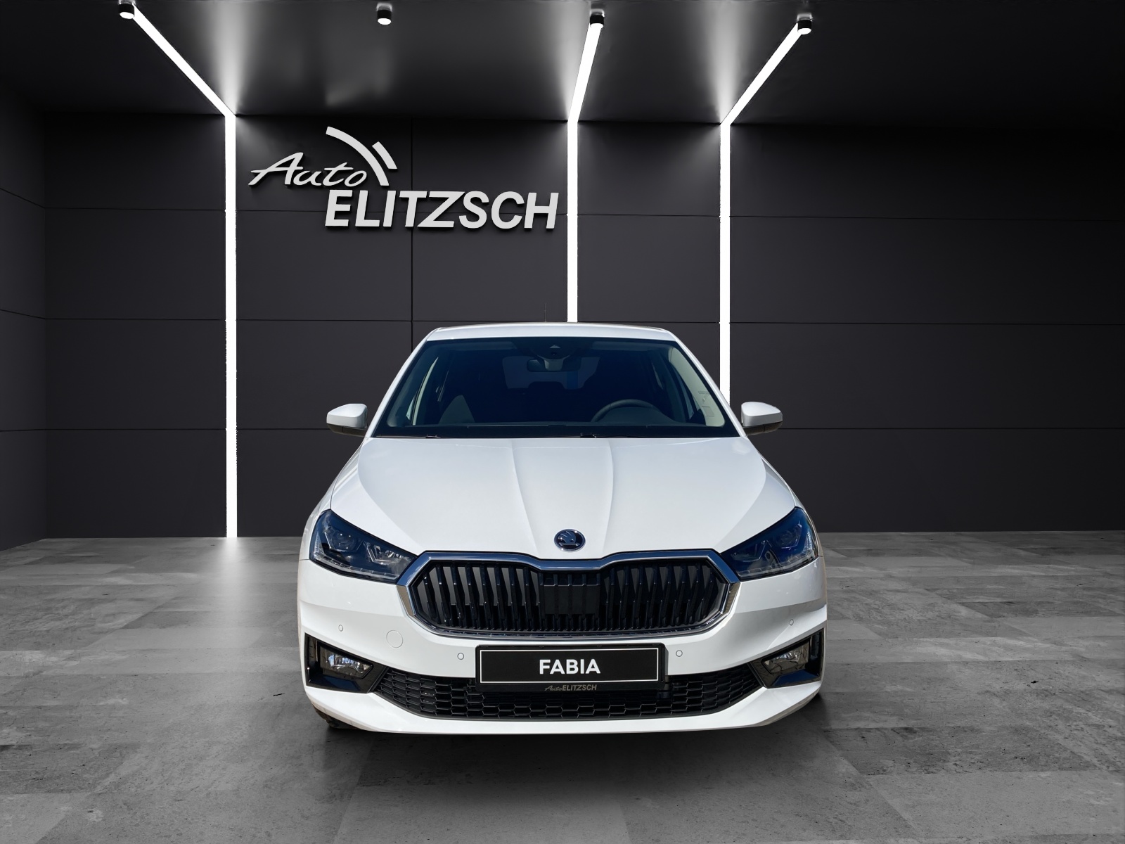 Fahrzeugabbildung SKODA Fabia Tour TSI DSG Climatronic DAB Lane Assist