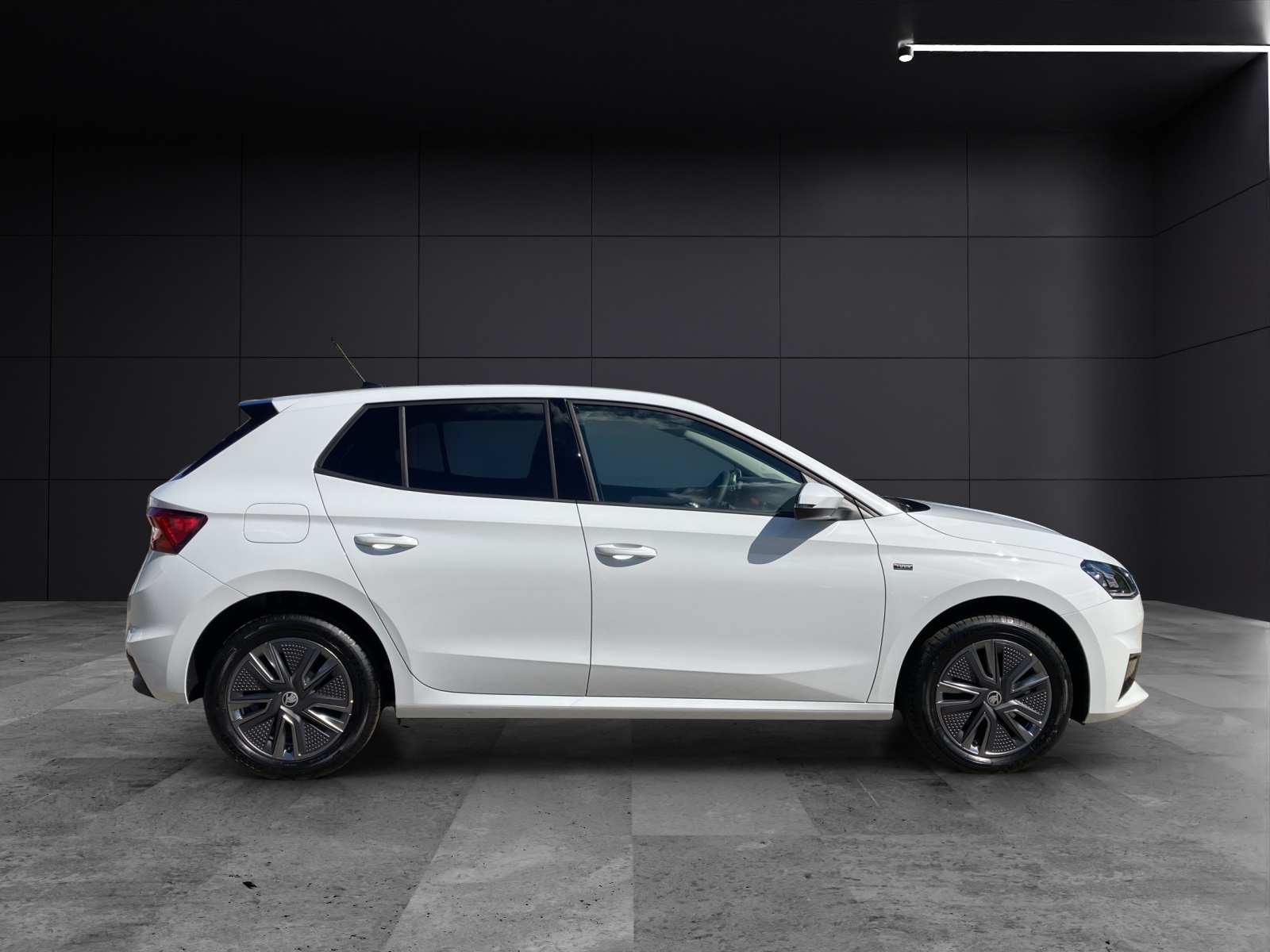 Fahrzeugabbildung SKODA Fabia Tour TSI DSG Climatronic DAB Lane Assist