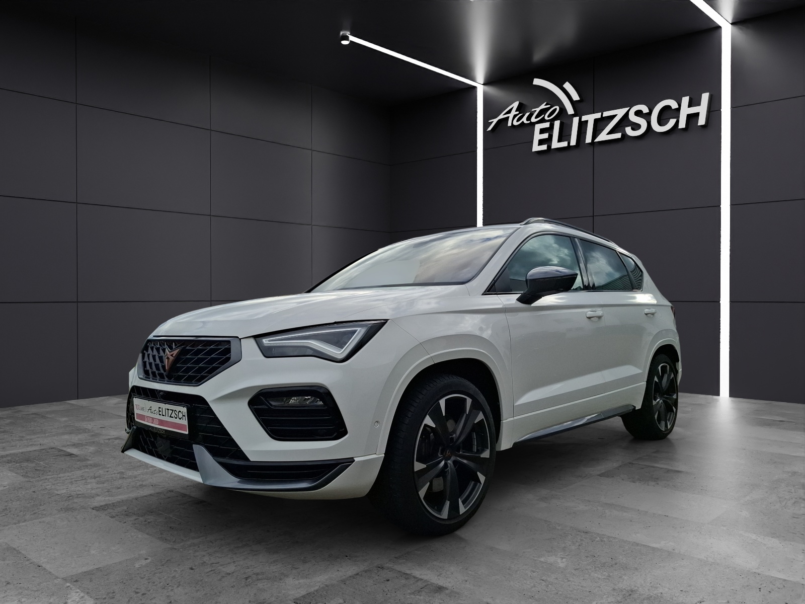 Fahrzeugabbildung SEAT Ateca VZ DSG 4Drive LED Navi AID ACC beats Park-Assist SH 19