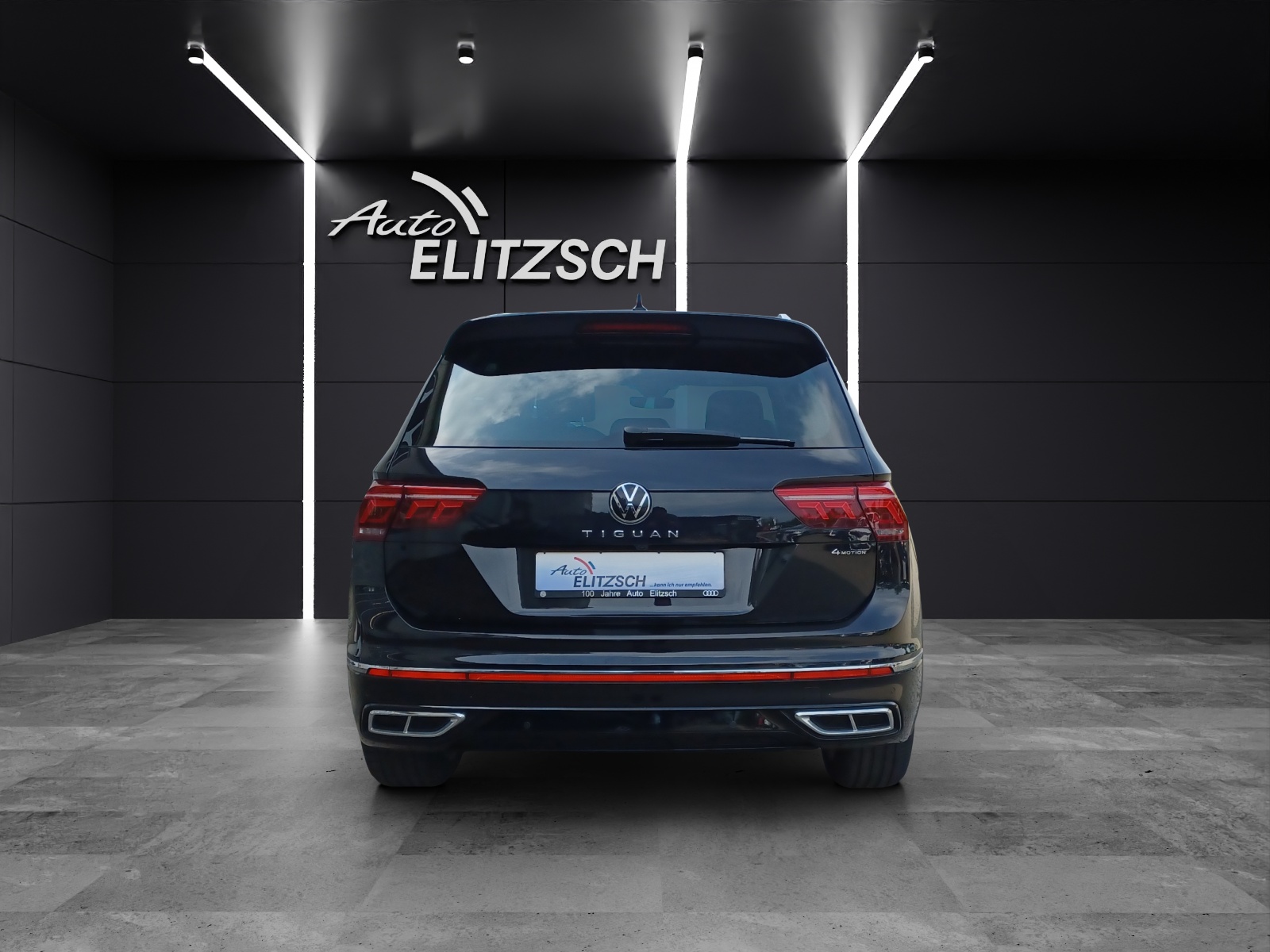Fahrzeugabbildung Volkswagen Tiguan TSI R-Line 4M DSG STH Matrix AHK Navi AID ACC RFK 19