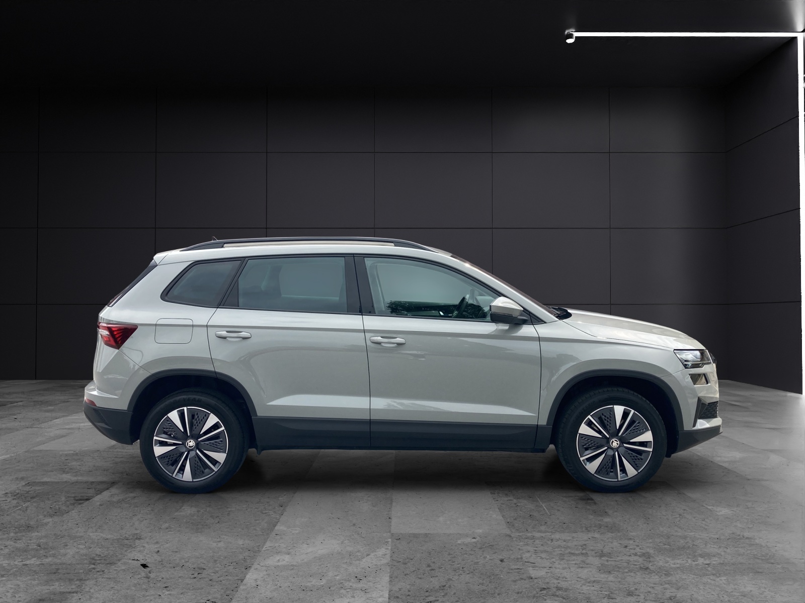 Fahrzeugabbildung SKODA Karoq TSI Ambition