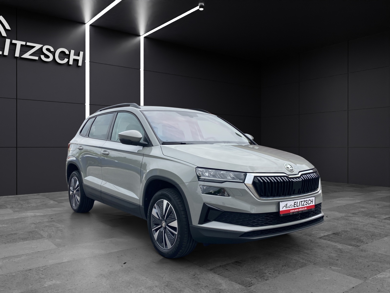 Fahrzeugabbildung SKODA Karoq TSI Ambition