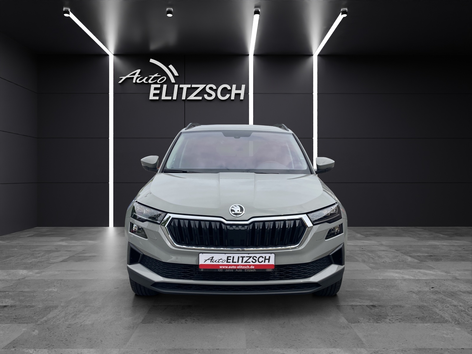 Fahrzeugabbildung SKODA Karoq TSI Ambition