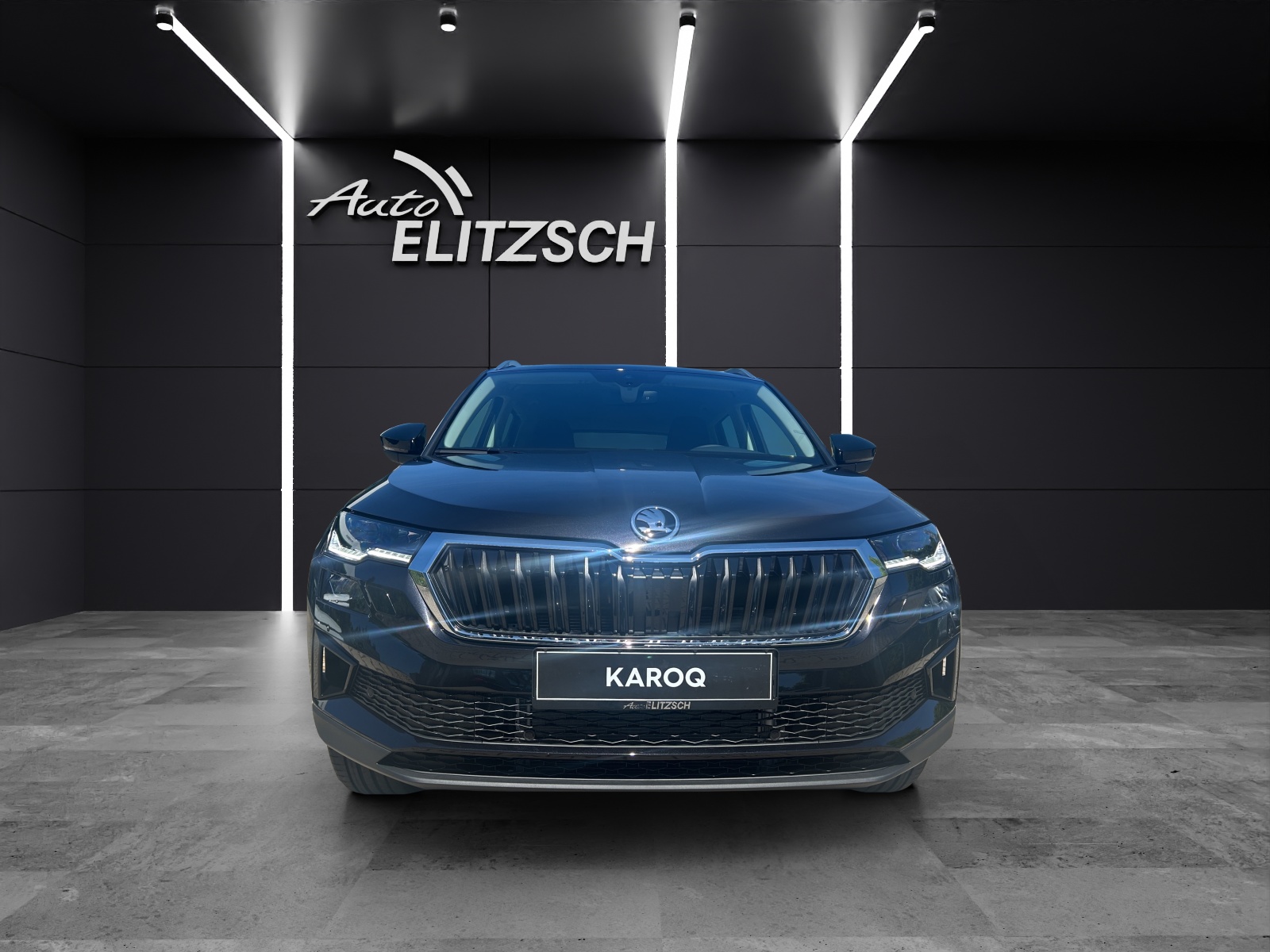Fahrzeugabbildung SKODA Karoq 2.0 TDI Tour MATRIX AHK