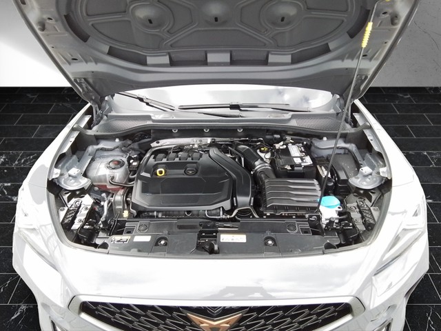 Fahrzeugabbildung CUPRA Formentor TSI Basis LED ACC VC RFK SH 18