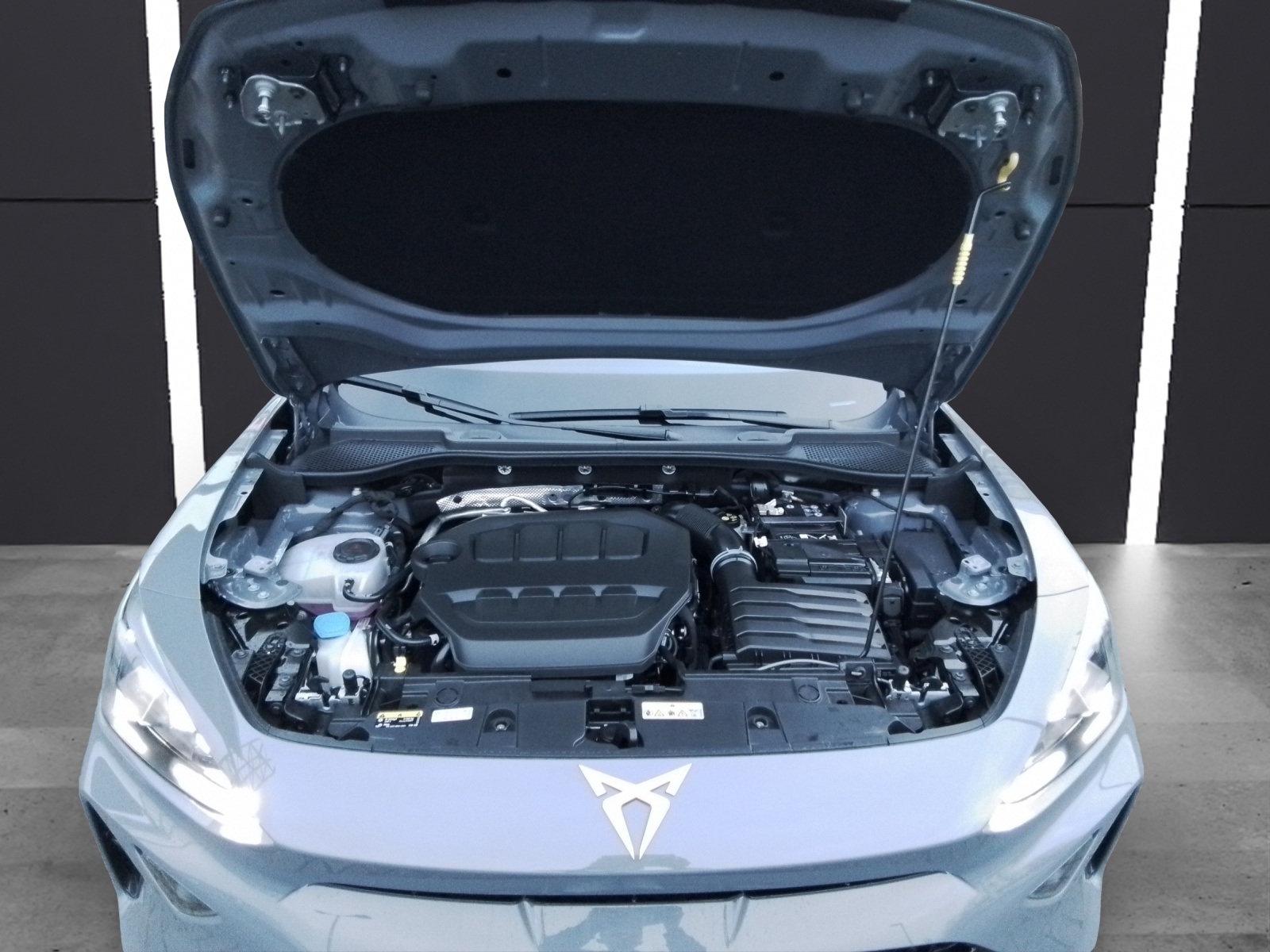 Fahrzeugabbildung CUPRA Formentor VZ 2.0 TSI 4Drive AHK Matrix