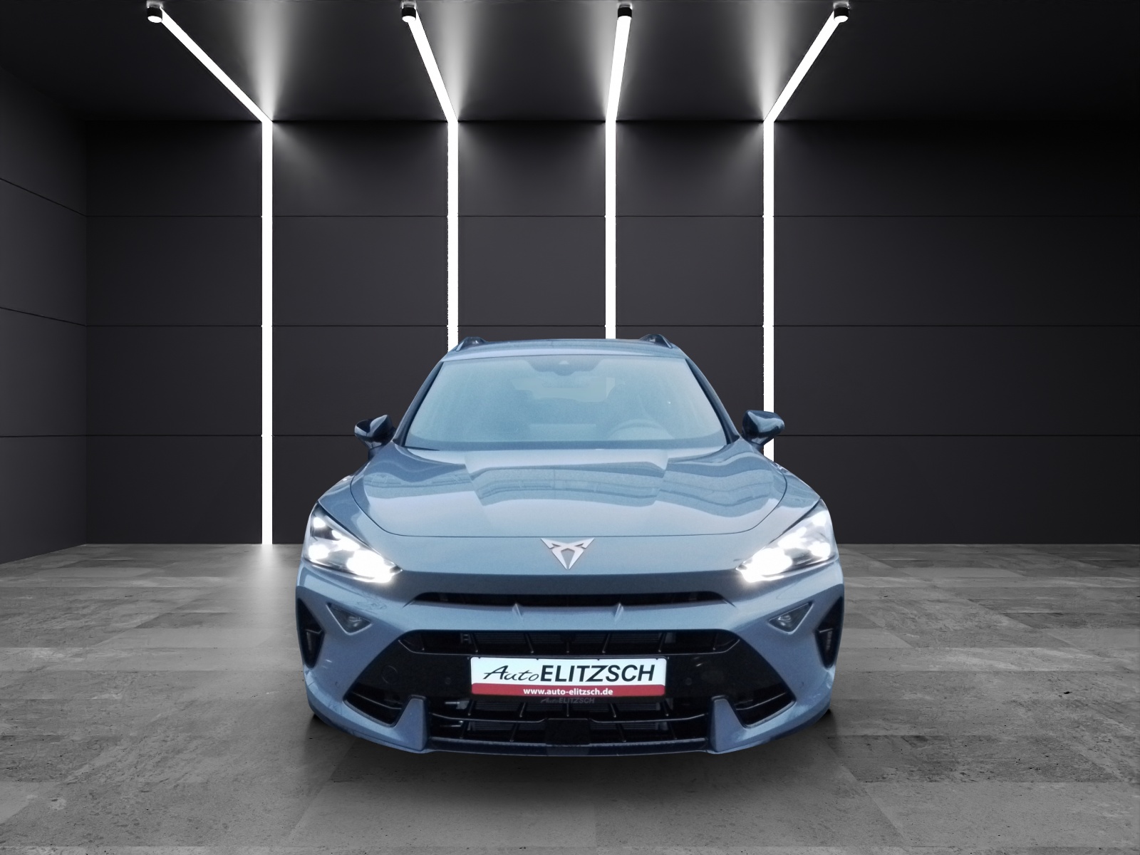 Fahrzeugabbildung CUPRA Formentor VZ 2.0 TSI 4Drive AHK Matrix