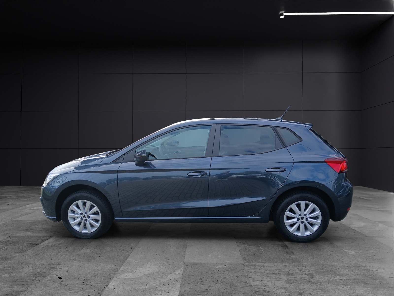 Fahrzeugabbildung SEAT Ibiza 1.0 TSI Road Edition Kamera