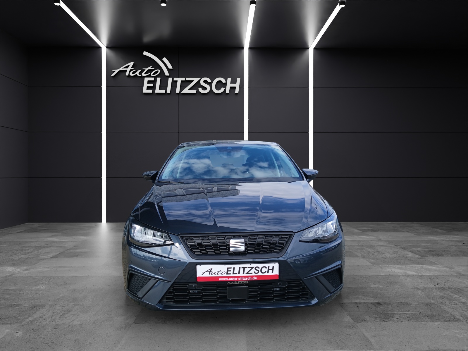 Fahrzeugabbildung SEAT Ibiza 1.0 TSI Road Edition Kamera