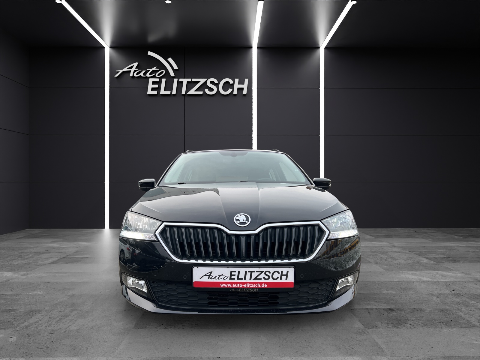 Fahrzeugabbildung SKODA Fabia Combi Ambition TSI SH Kamera DAB Klima