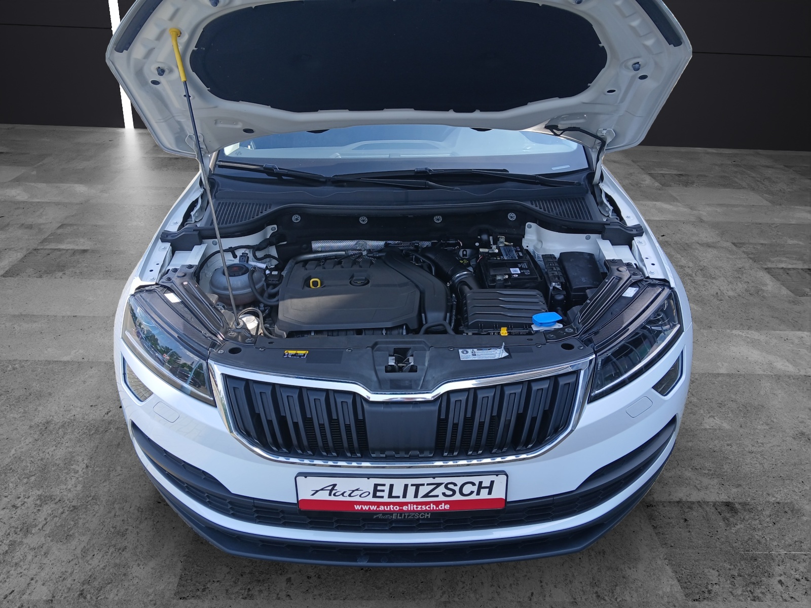 Fahrzeugabbildung SKODA Karoq TSI Ambition DSG LED Navi GRA PDC SH LM
