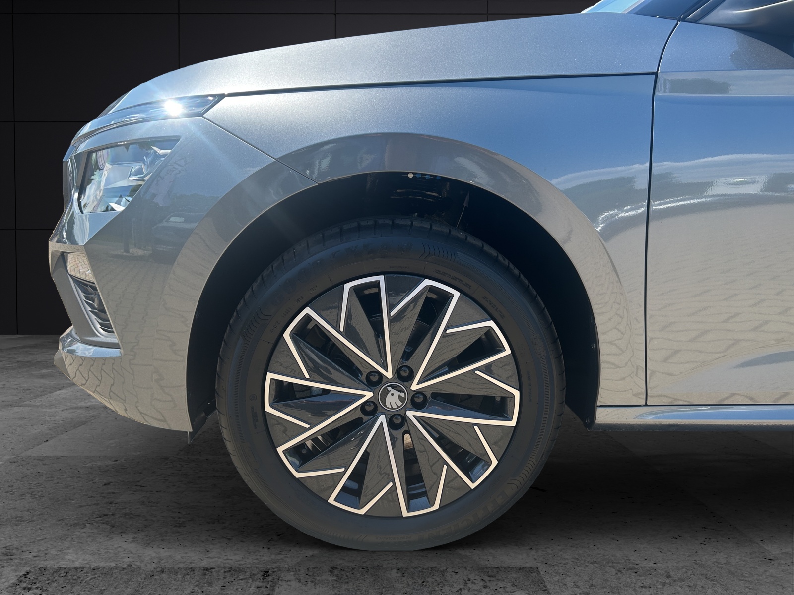 Fahrzeugabbildung SKODA Kamiq 1.0 TSI Selection DSG MATRIX AHZV