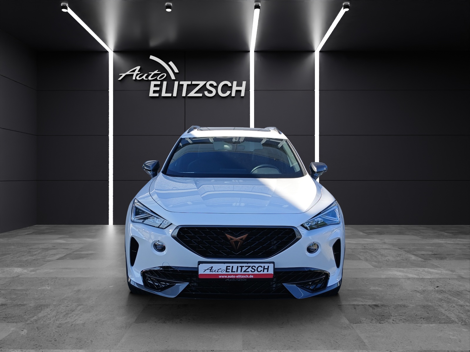 Fahrzeugabbildung CUPRA Formentor TSI DSG 4Drive LED Pano ACC RFK SH 19