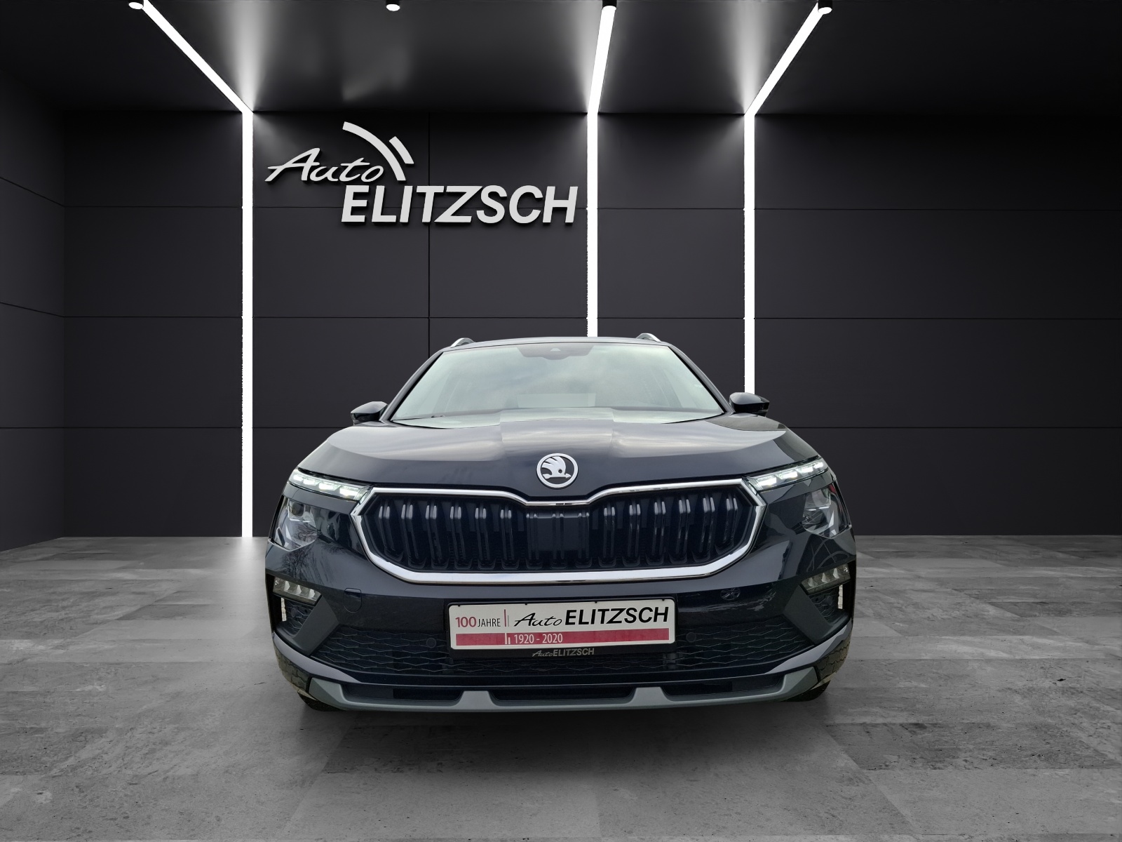 Fahrzeugabbildung SKODA Kamiq TSI Selection DSG Matrix Navi SH ACC VC FSH