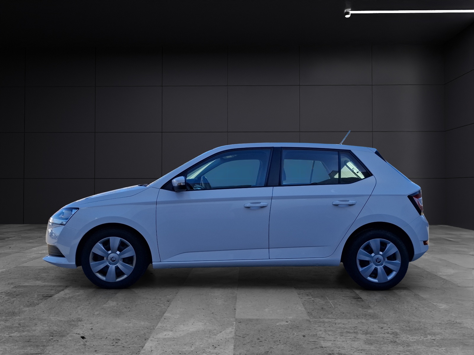 Fahrzeugabbildung SKODA Fabia 1.0 TSI TSI Ambition NAVI SHZ APP GRA