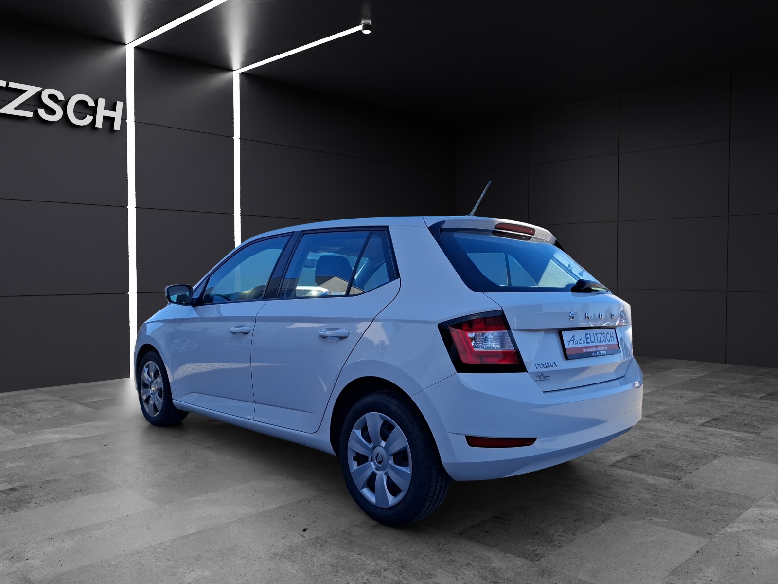 Fahrzeugabbildung SKODA Fabia 1.0 TSI TSI Ambition NAVI SHZ APP GRA