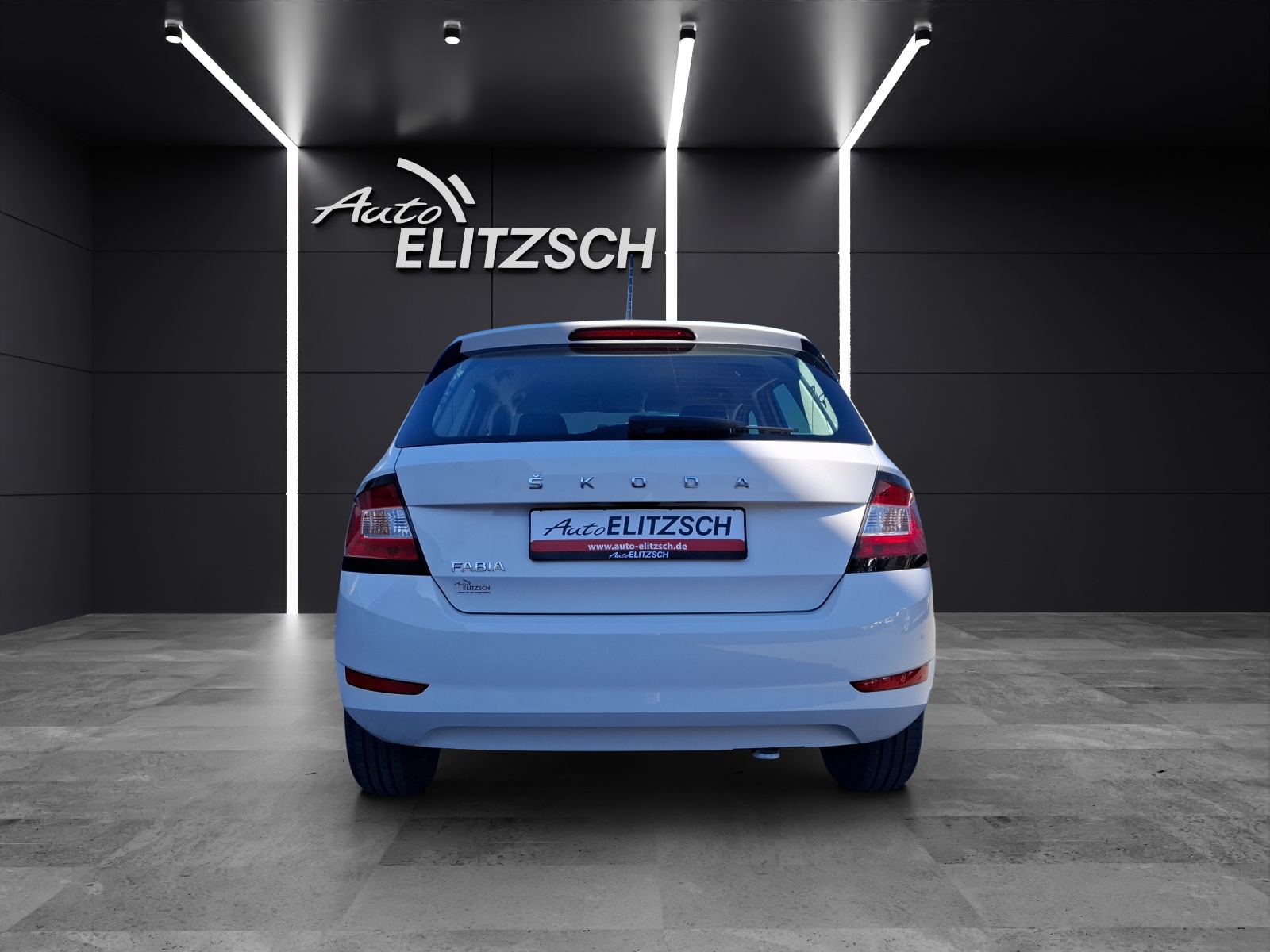 Fahrzeugabbildung SKODA Fabia 1.0 TSI TSI Ambition NAVI SHZ APP GRA