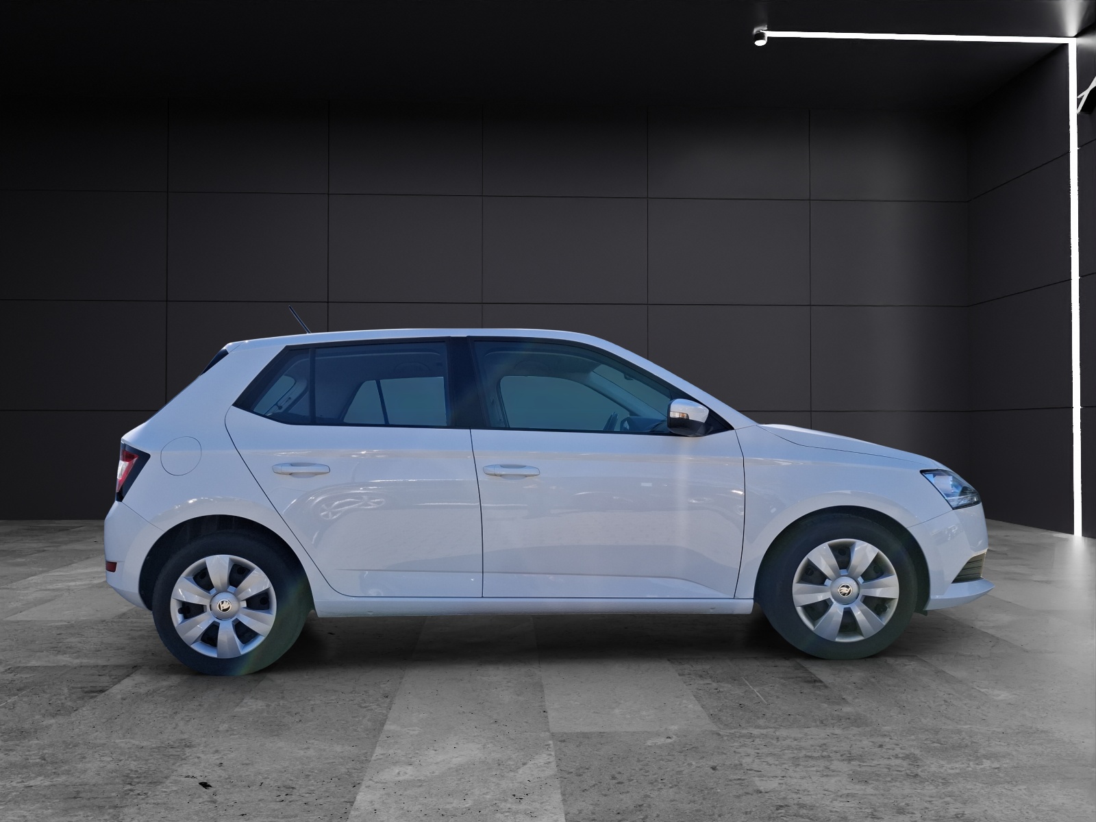 Fahrzeugabbildung SKODA Fabia 1.0 TSI TSI Ambition NAVI SHZ APP GRA