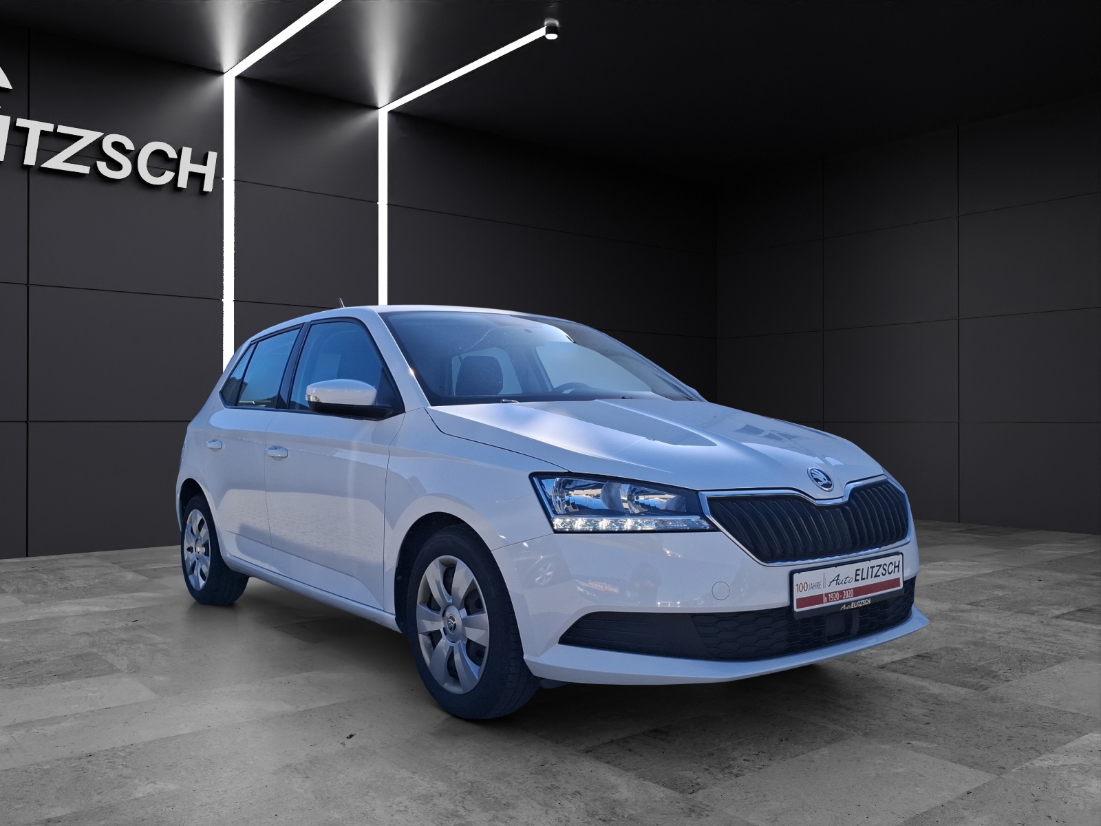 Fahrzeugabbildung SKODA Fabia 1.0 TSI TSI Ambition NAVI SHZ APP GRA