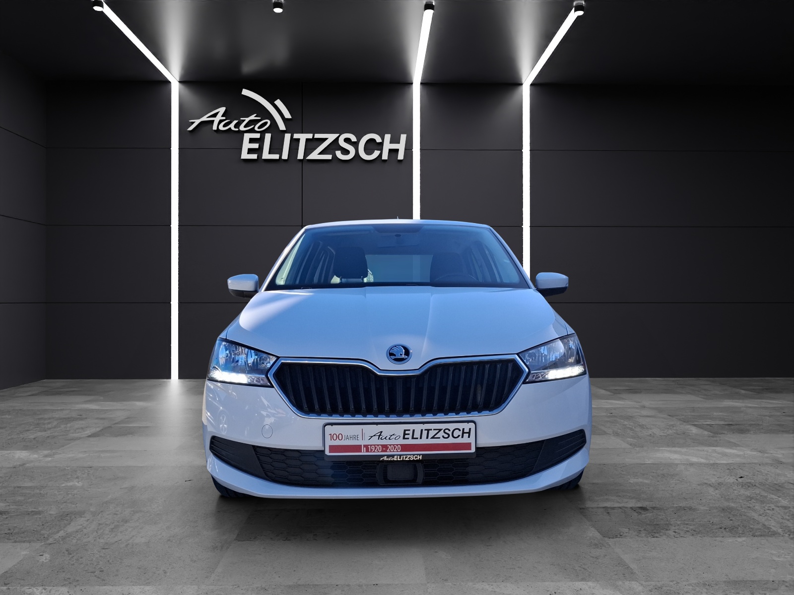 Fahrzeugabbildung SKODA Fabia 1.0 TSI TSI Ambition NAVI SHZ APP GRA
