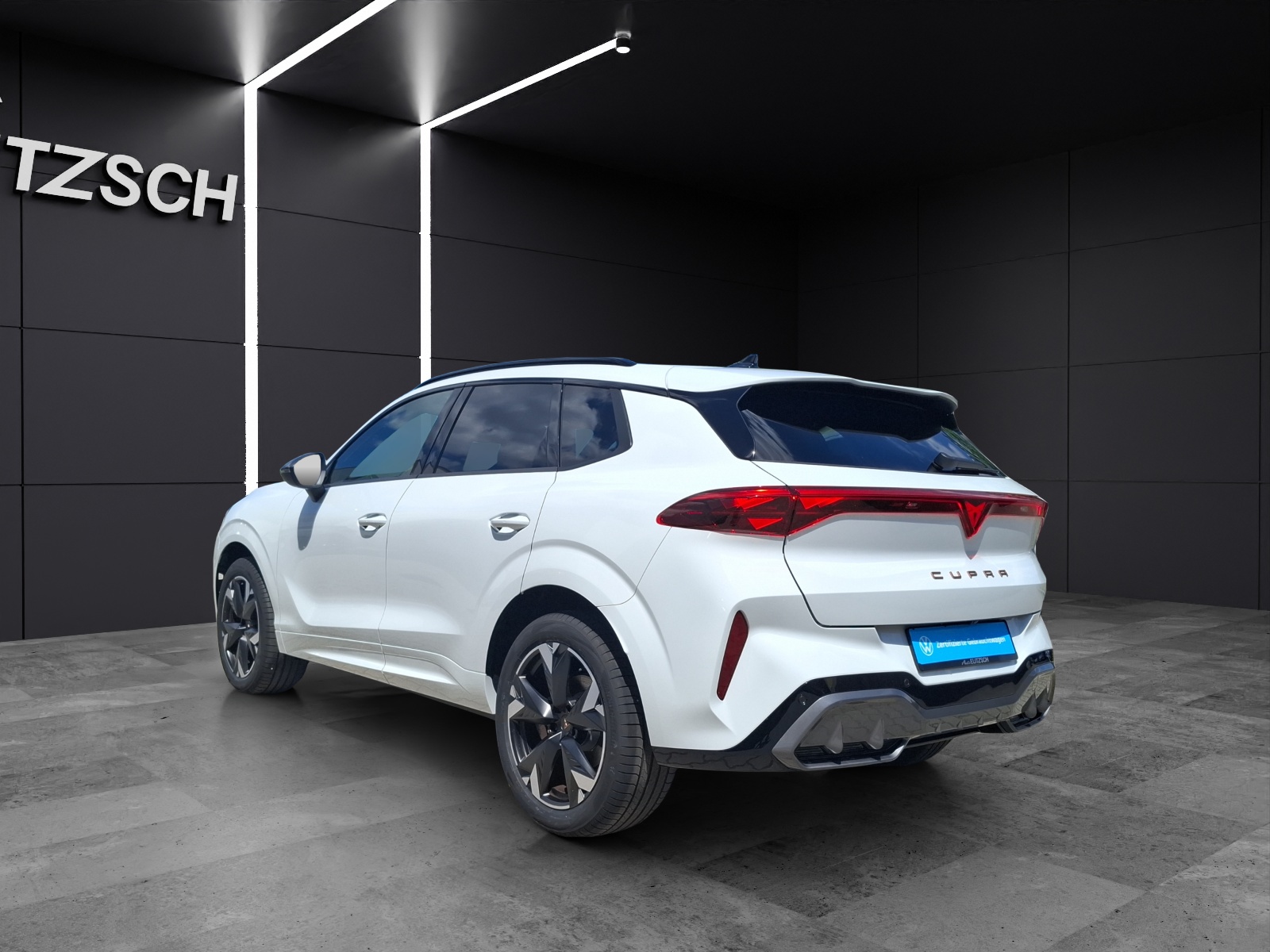 Fahrzeugabbildung SEAT Terramar eTSI Matrix Navi HUD ACC RFK SHZ 19