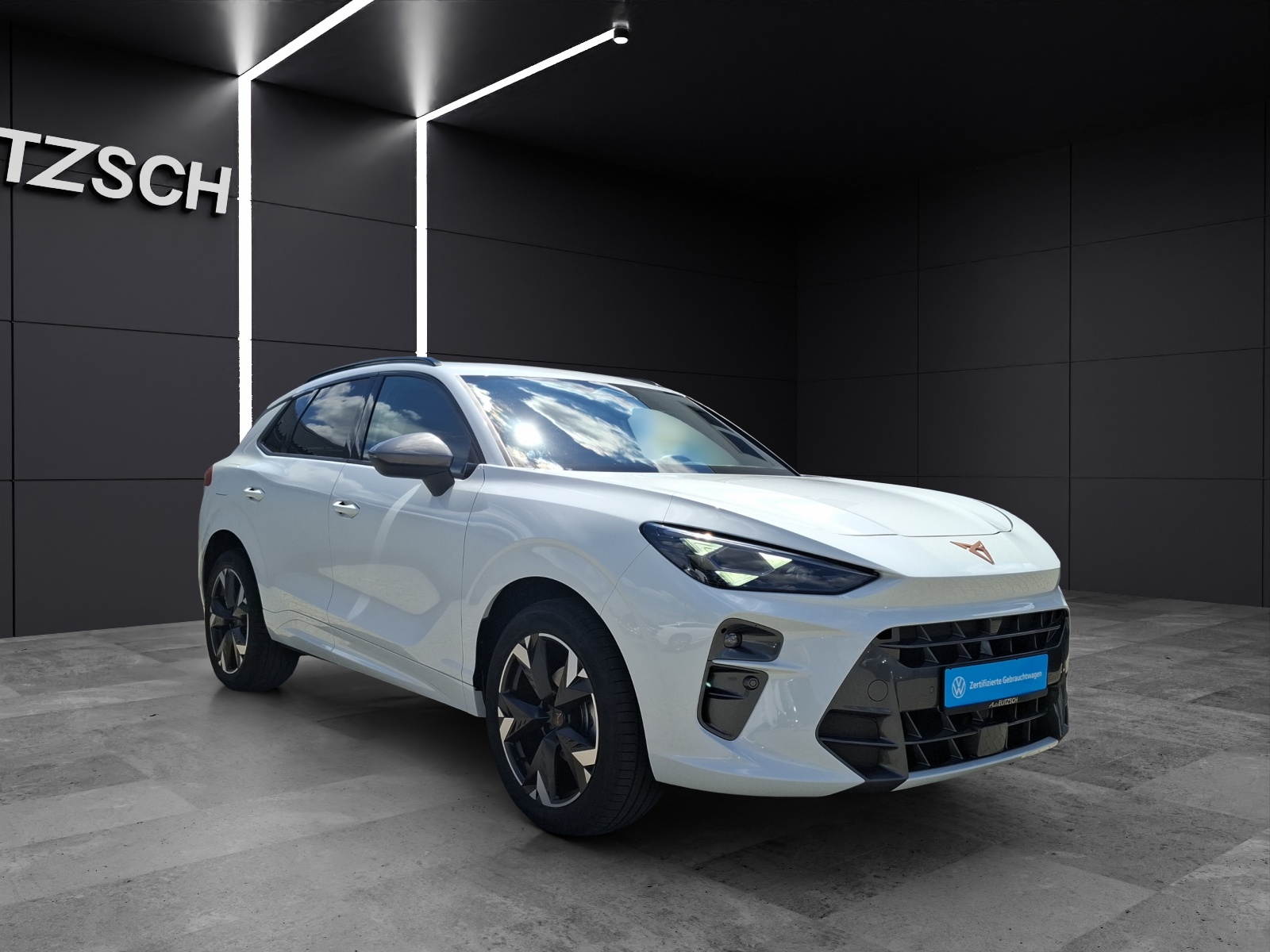 Fahrzeugabbildung SEAT Terramar eTSI Matrix Navi HUD ACC RFK SHZ 19