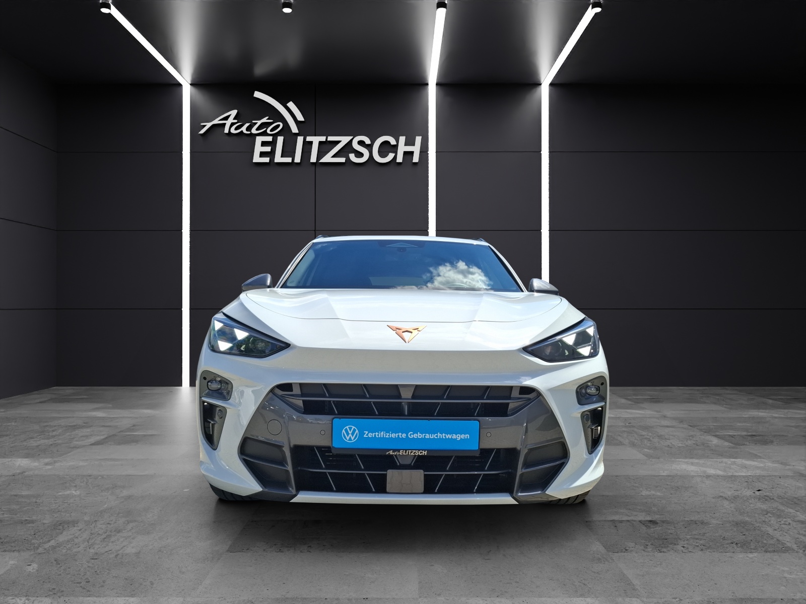 Fahrzeugabbildung SEAT Terramar eTSI Matrix Navi HUD ACC RFK SHZ 19