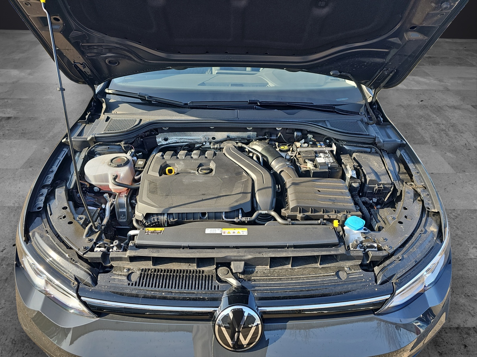 Fahrzeugabbildung Volkswagen Golf VIII TSI Move Climatronic AID PDC SH LM