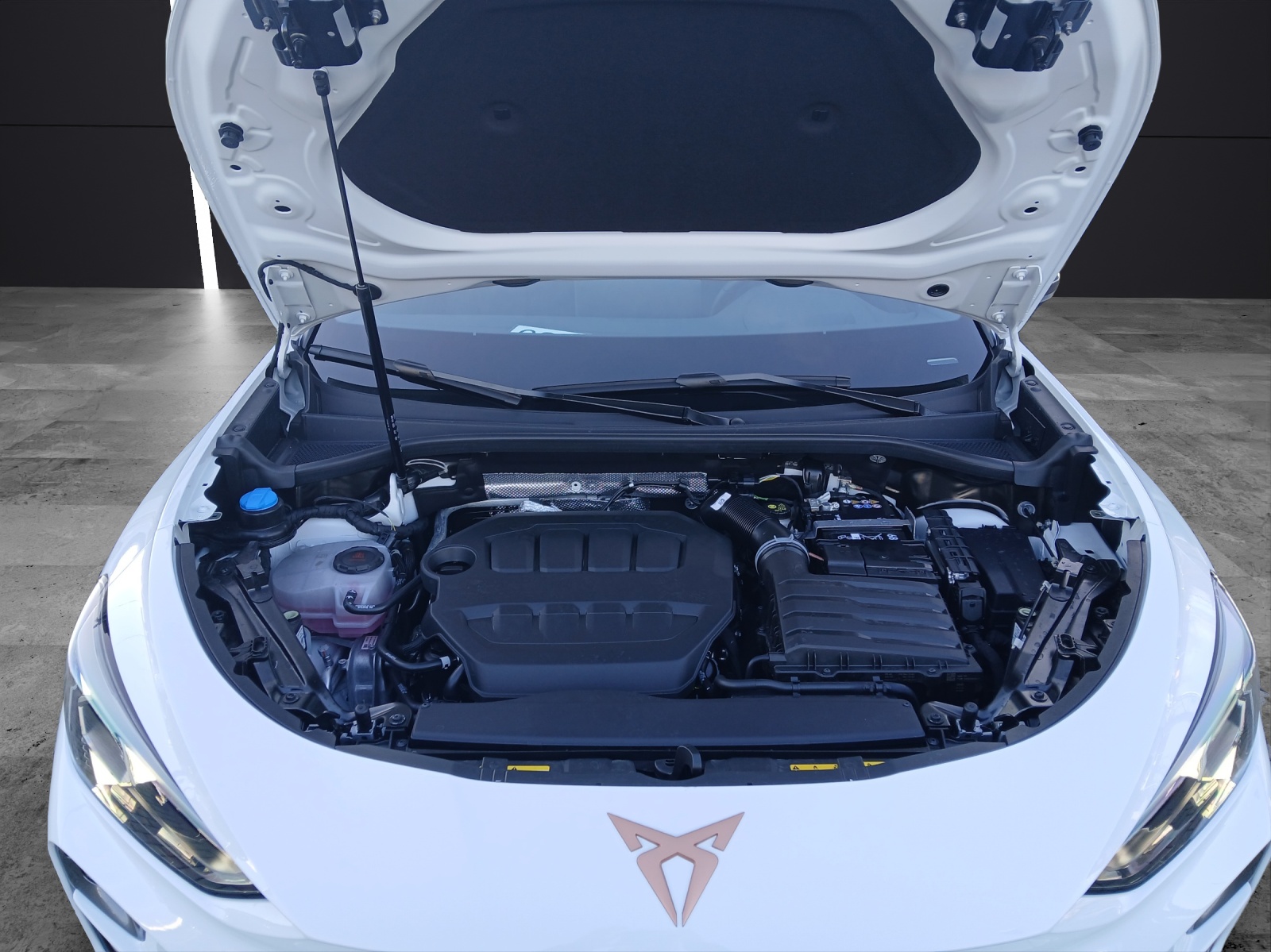 Fahrzeugabbildung CUPRA Terramar VZ 2.0 TSI AHK Sennh. Int.DriveXL