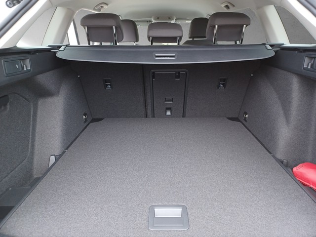 Fahrzeugabbildung Volkswagen Golf VIII Variant TDI Alltrack 4Mo DSG Navi Matrix DCP 18