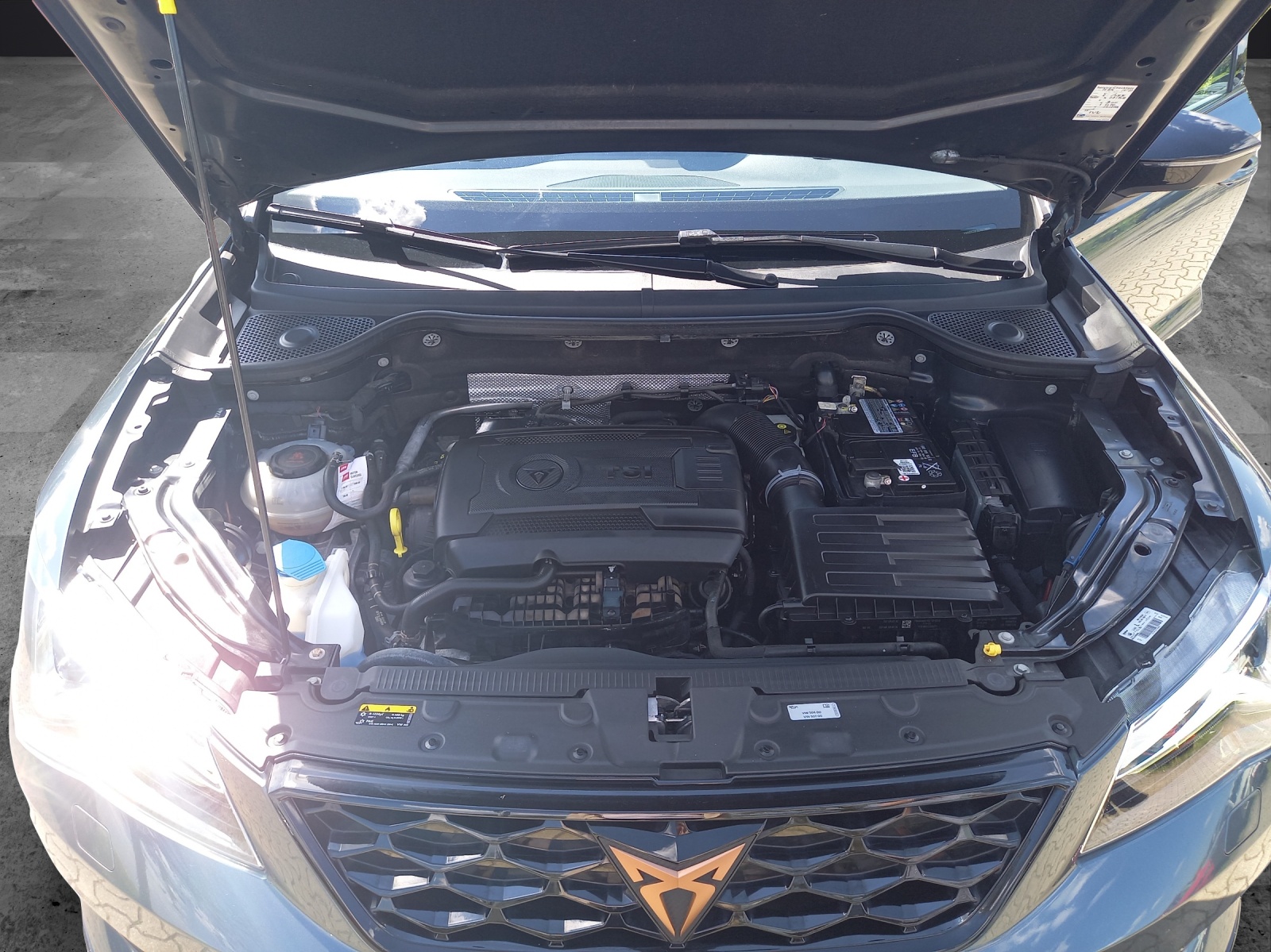 Fahrzeugabbildung CUPRA Ateca 4Drive 2.0 TSI DSG ACC KAMERA LED