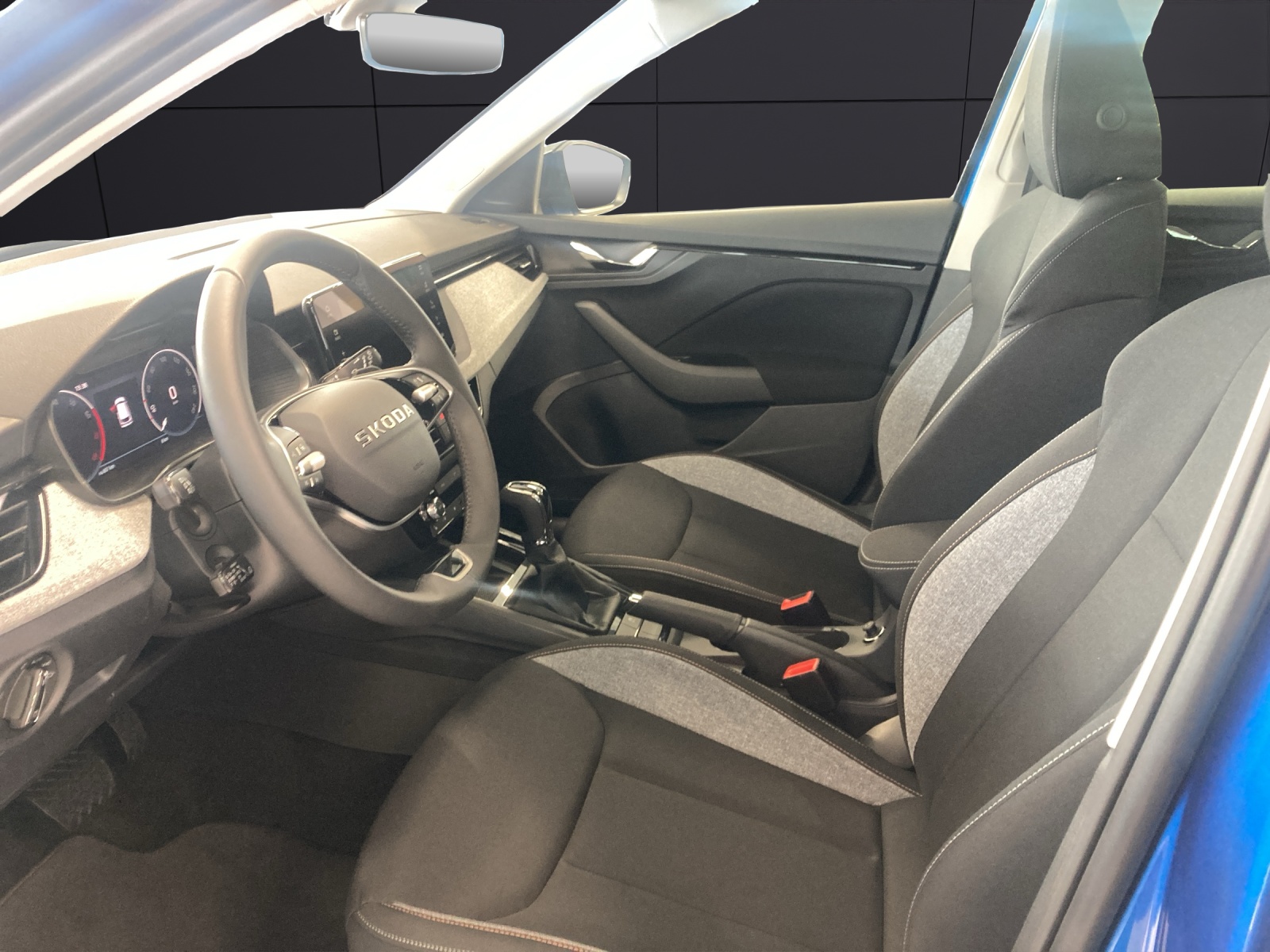 Fahrzeugabbildung SKODA KAMIQ 1.0 TSI TOUR DSG