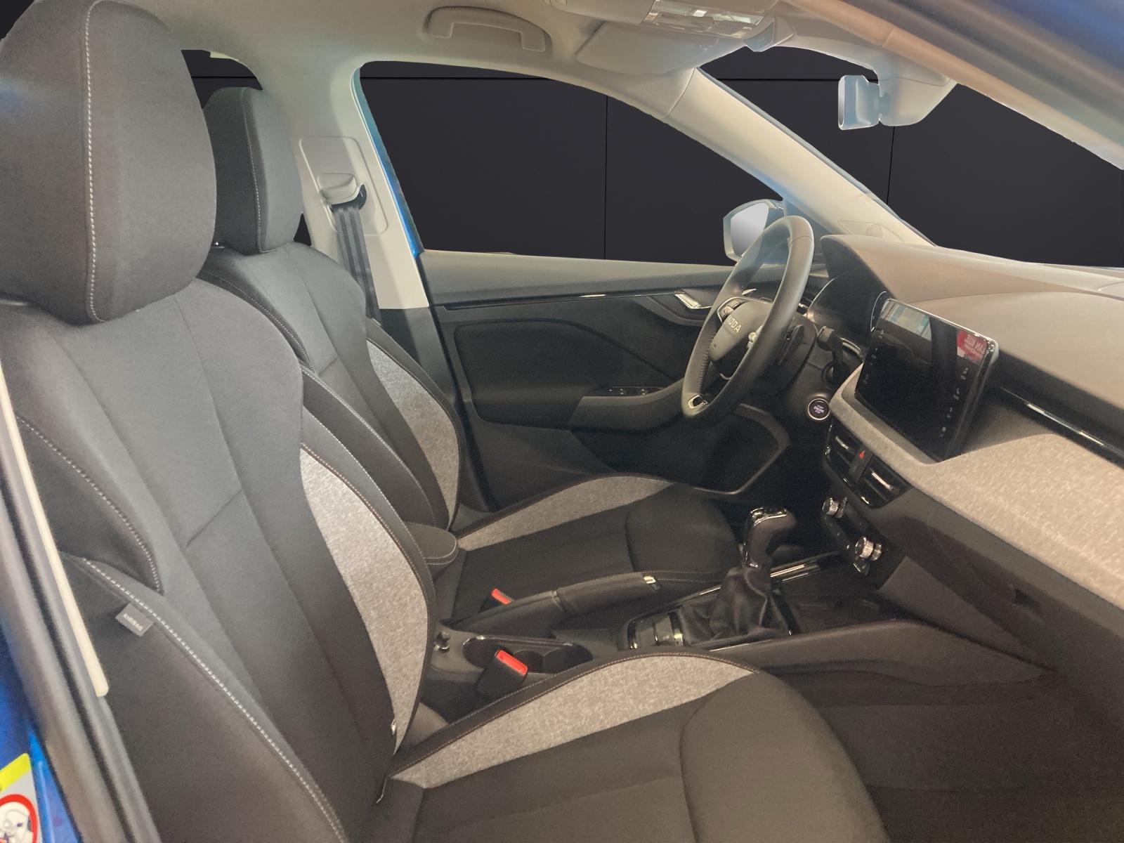 Fahrzeugabbildung SKODA KAMIQ 1.0 TSI TOUR DSG