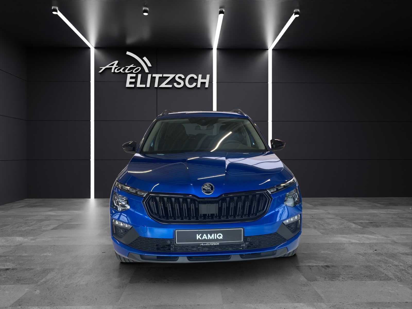 Fahrzeugabbildung SKODA KAMIQ 1.0 TSI TOUR DSG