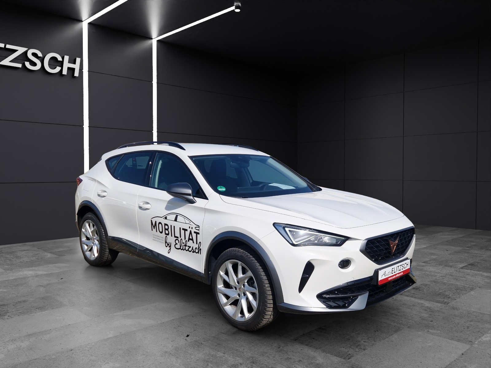 Fahrzeugabbildung CUPRA Formentor Basis LED 18
