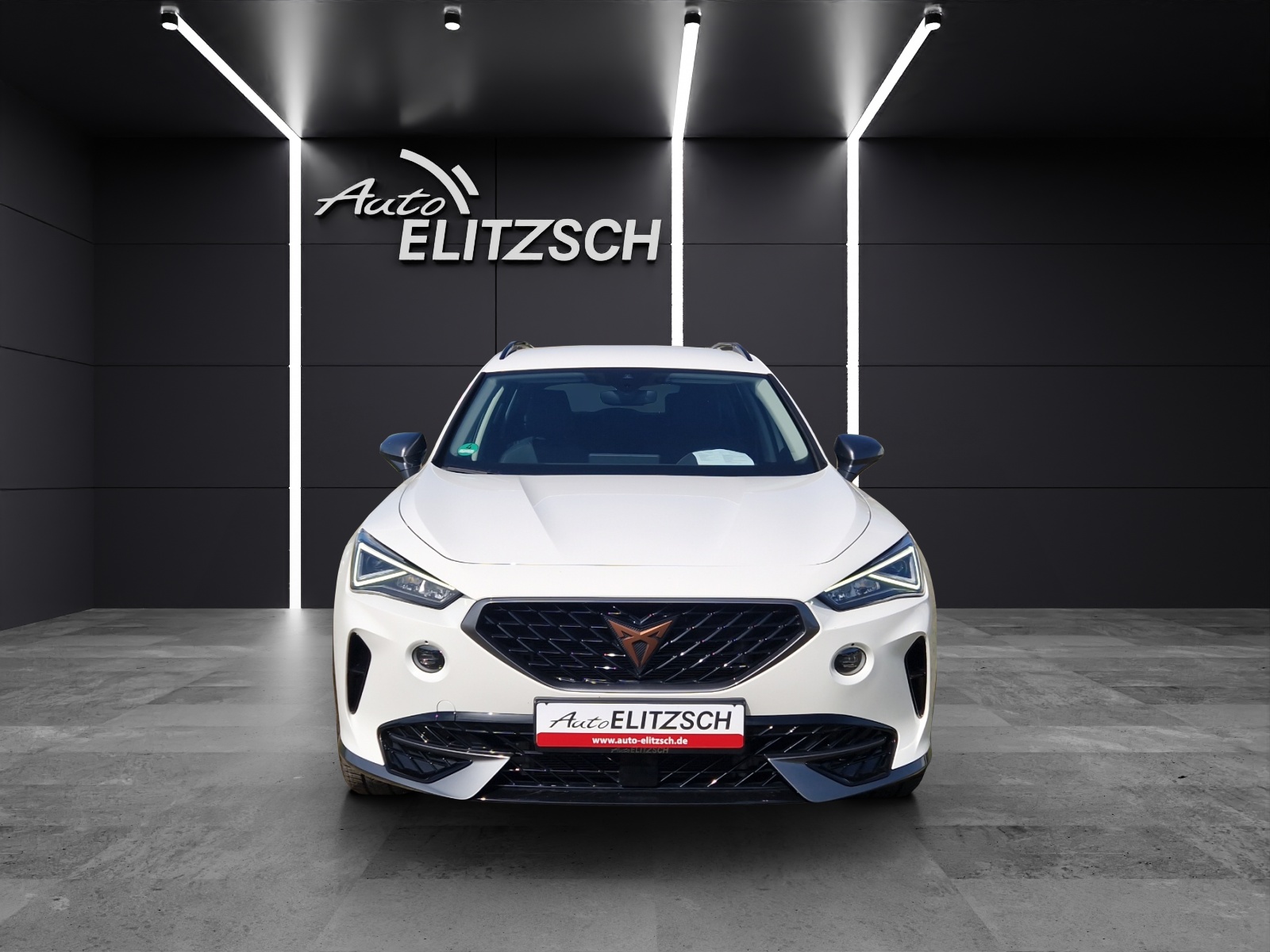 Fahrzeugabbildung CUPRA Formentor Basis LED 18