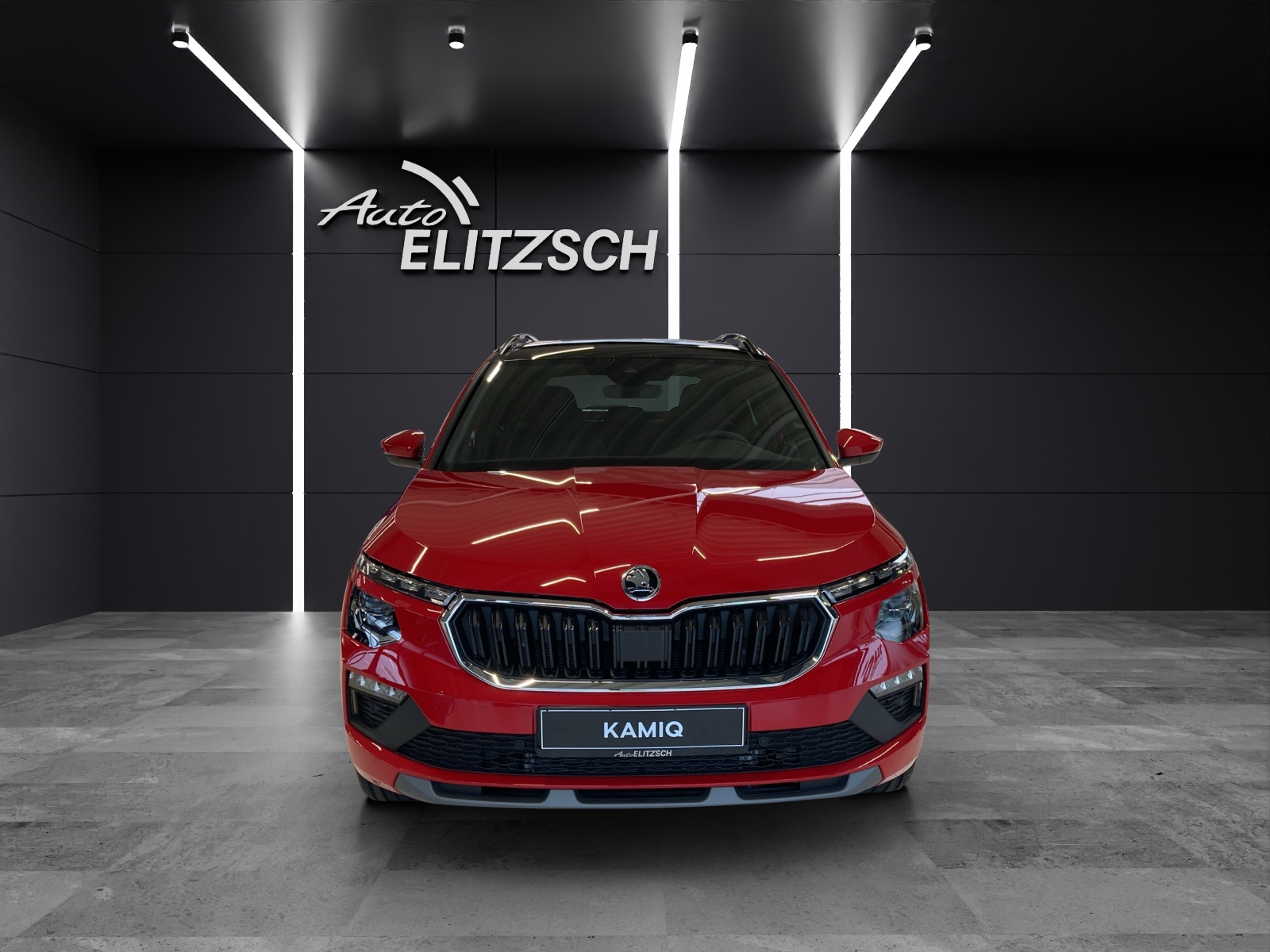 Fahrzeugabbildung SKODA Kamiq Tour 1.0TSI 85KW 6-Gang MATRIX LED, SHZ, OPEN SKY