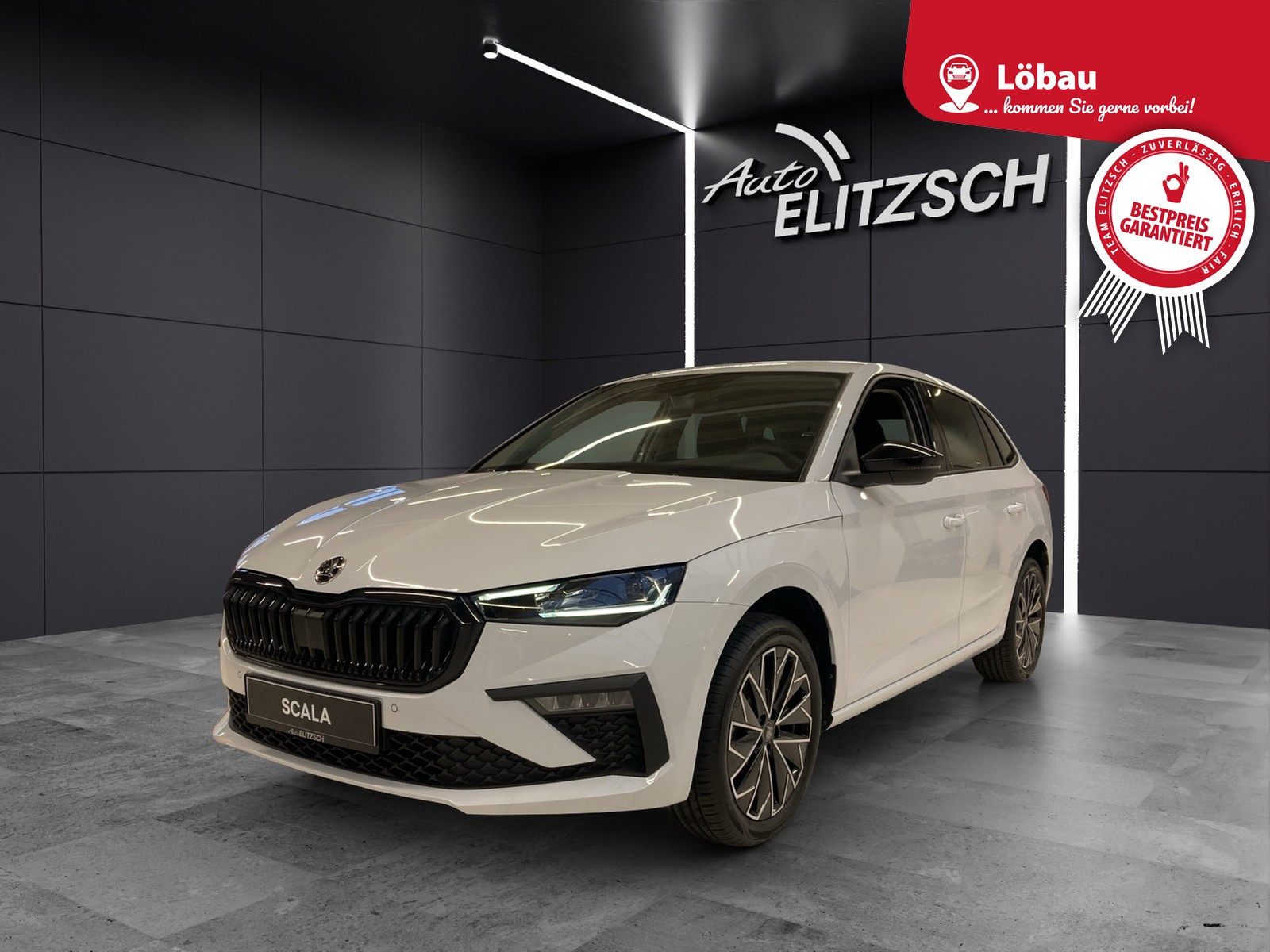 Fahrzeugabbildung SKODA Scala Balance DSG MATRIX AHK ASG Kamera
