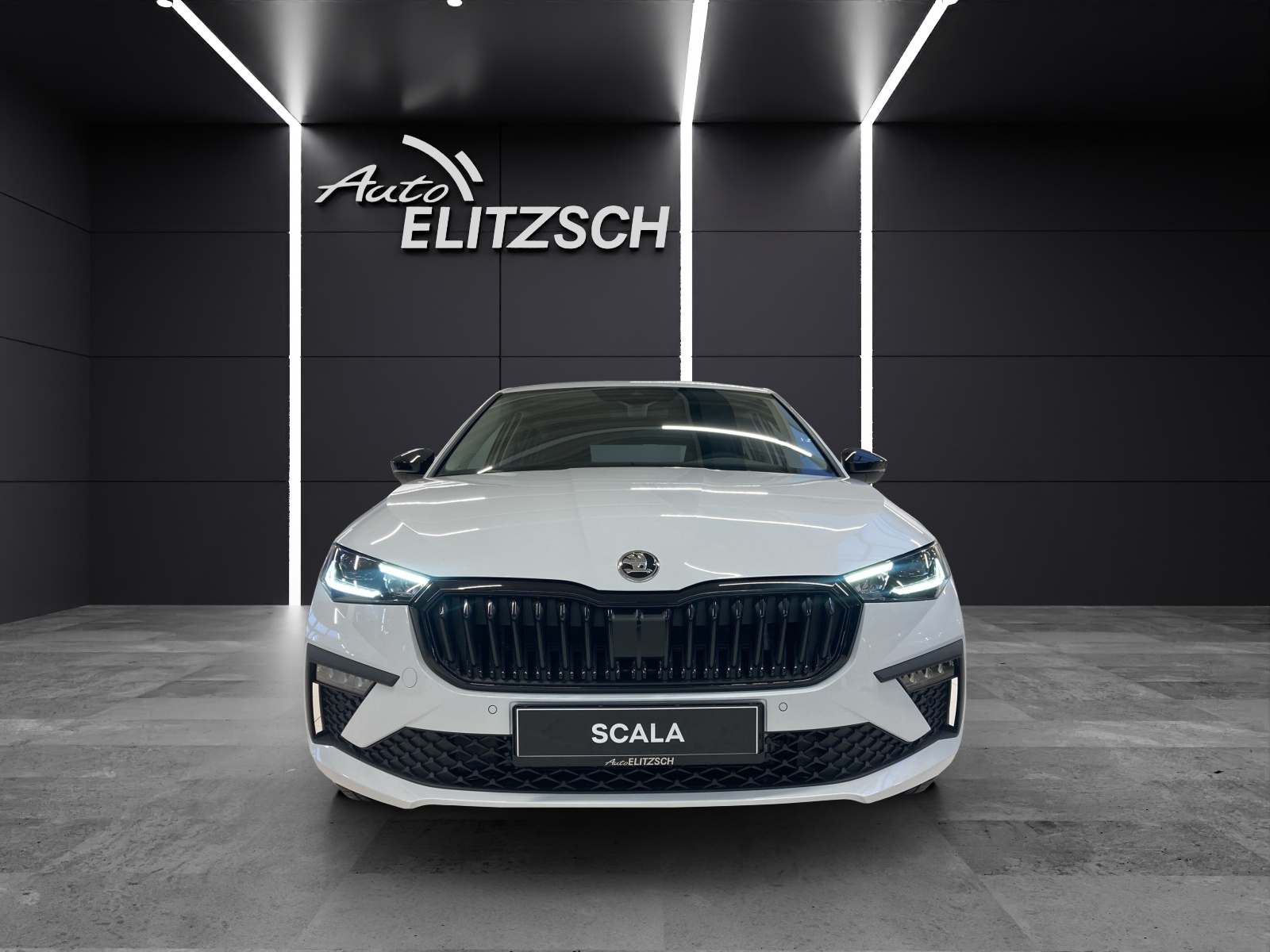 Fahrzeugabbildung SKODA Scala Balance DSG MATRIX AHK ASG Kamera