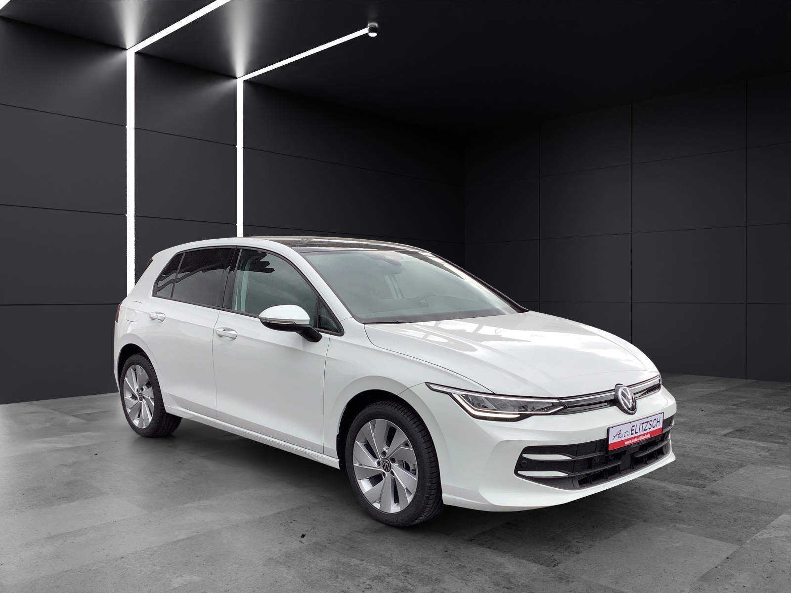 Fahrzeugabbildung Volkswagen Golf VIII TSI Pano AHK ACC