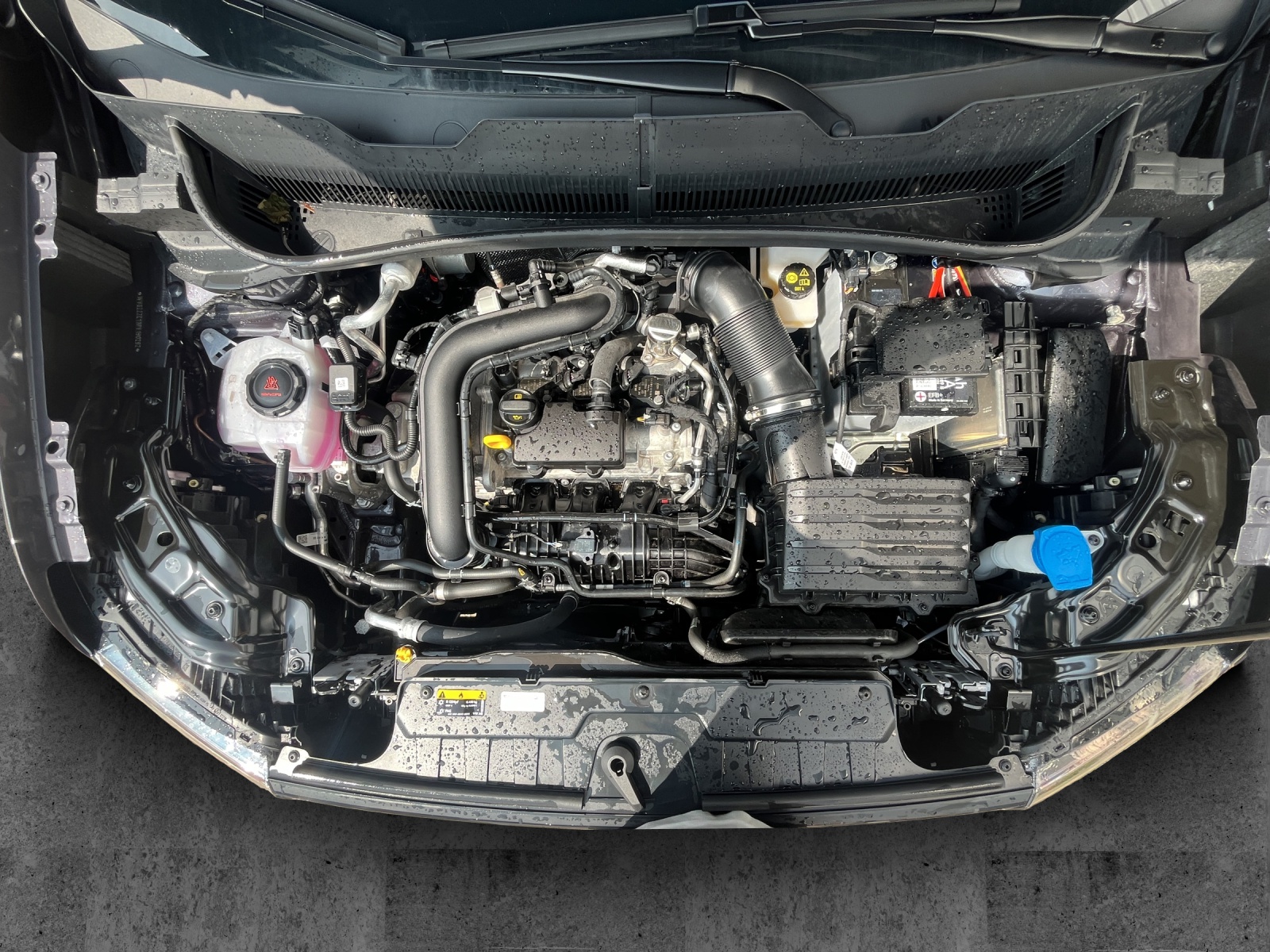 Fahrzeugabbildung Volkswagen T-Cross 1.0 TSI Move DSG LED ACC 16